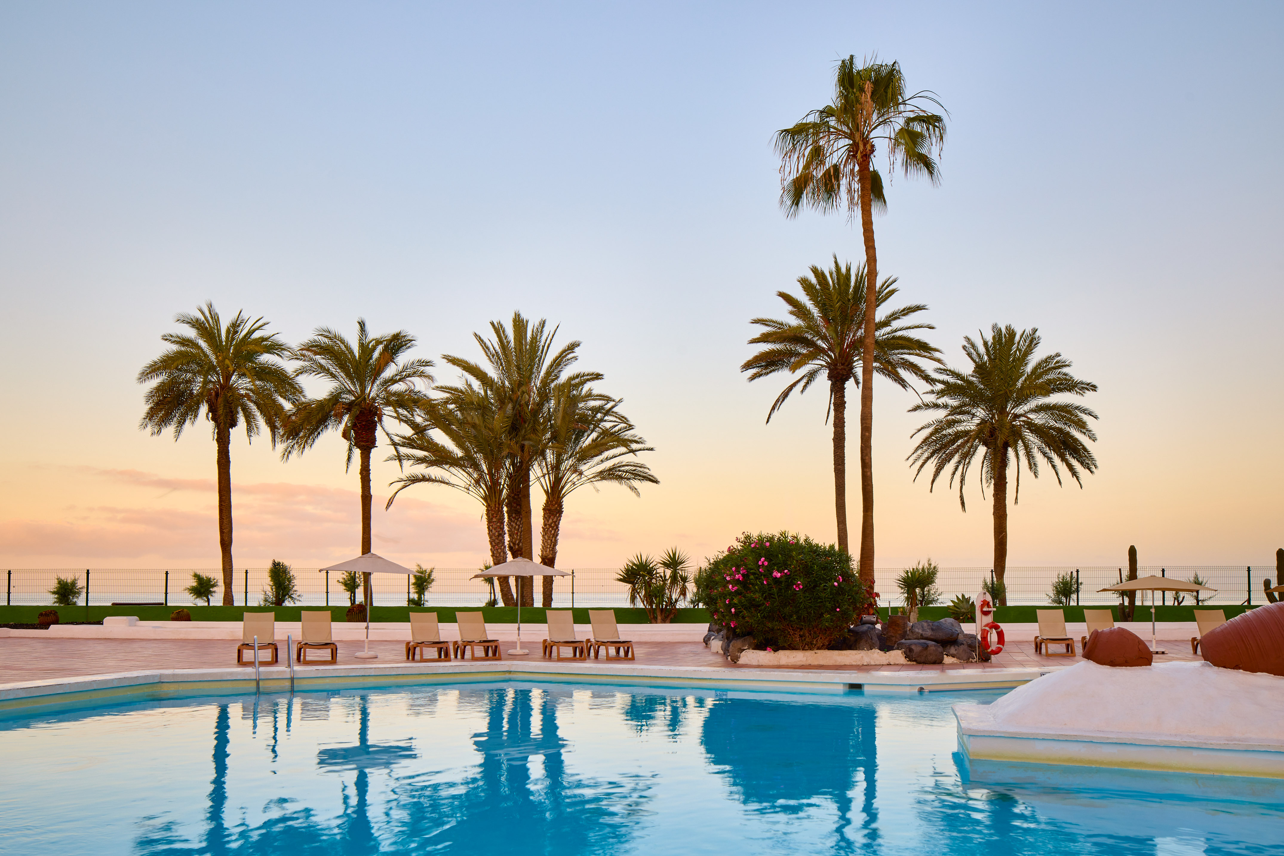 Tropical resort swimming pool with palm trees at sunset.