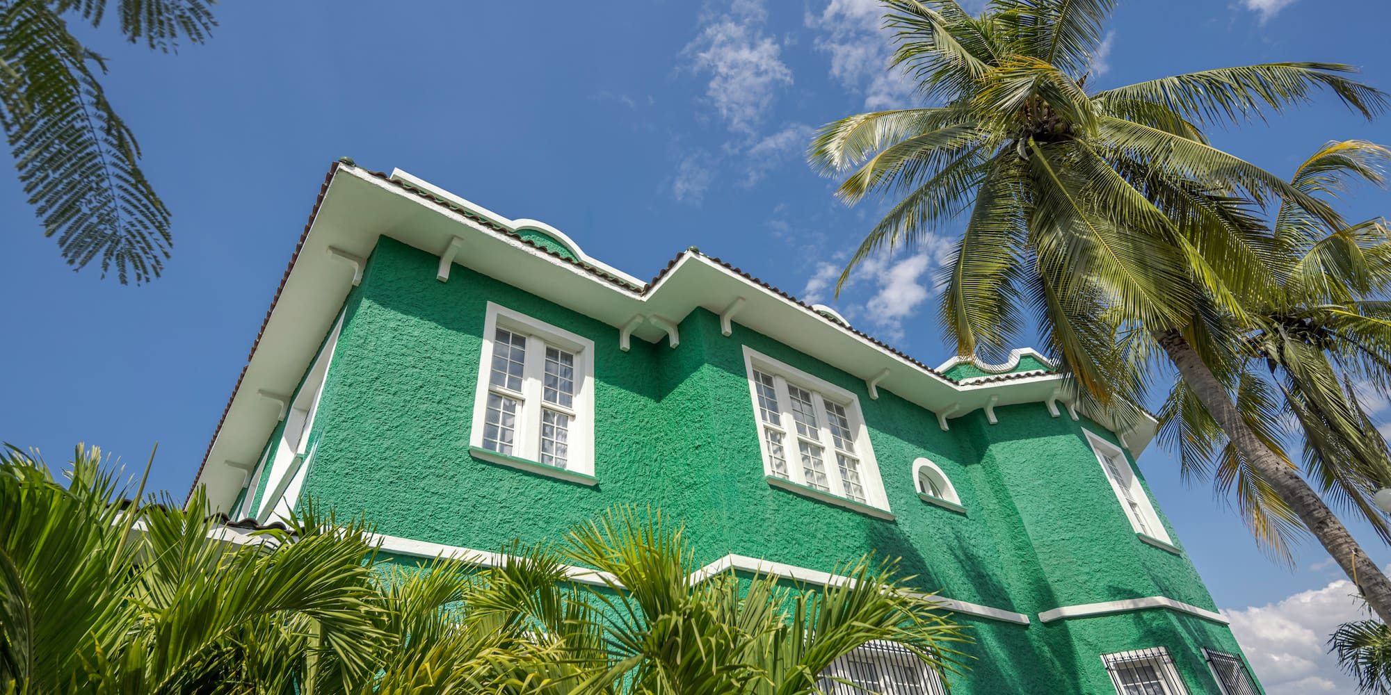 a green house with palm trees