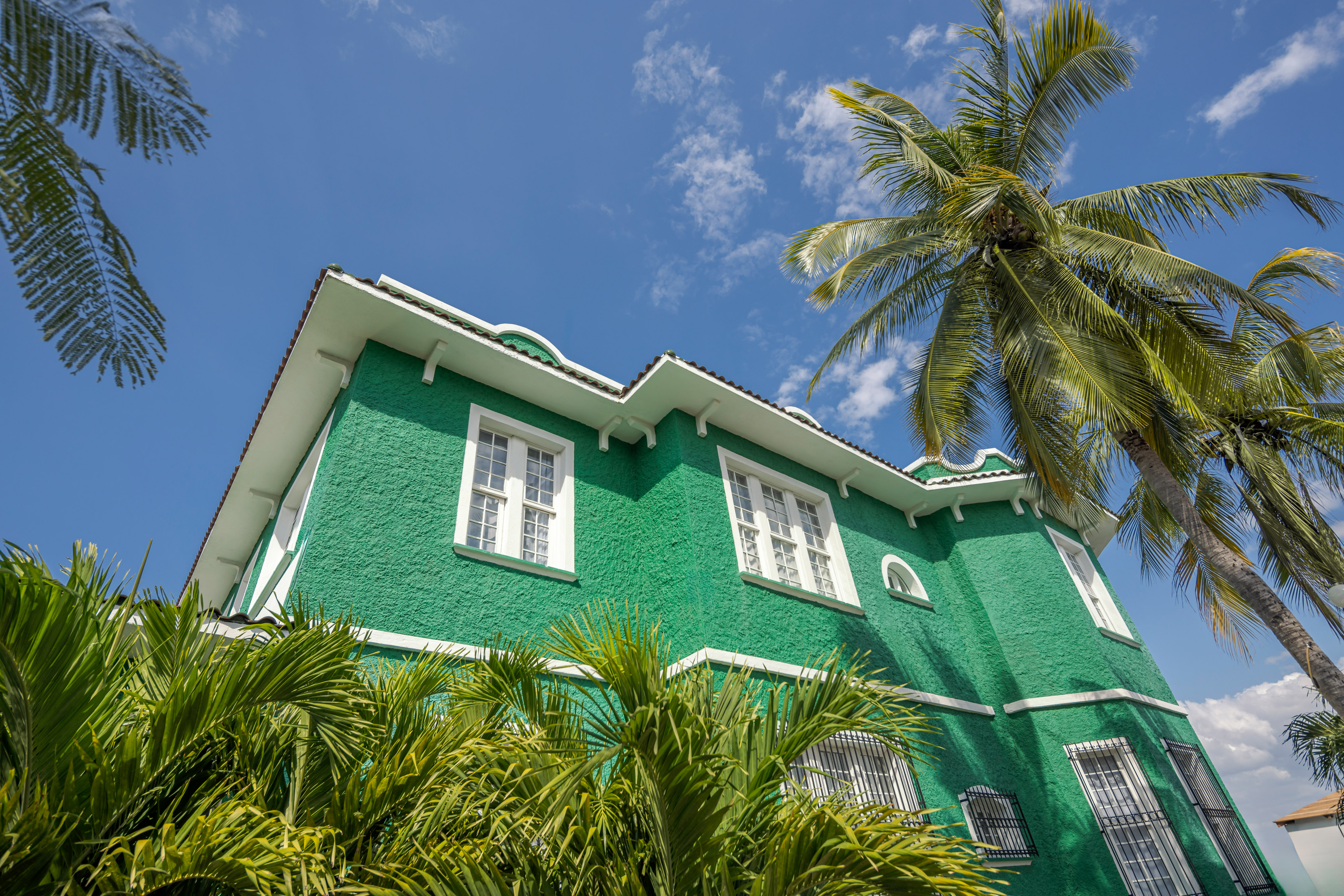 a green house with palm trees