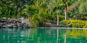 a pool with palm trees and a stone staircase