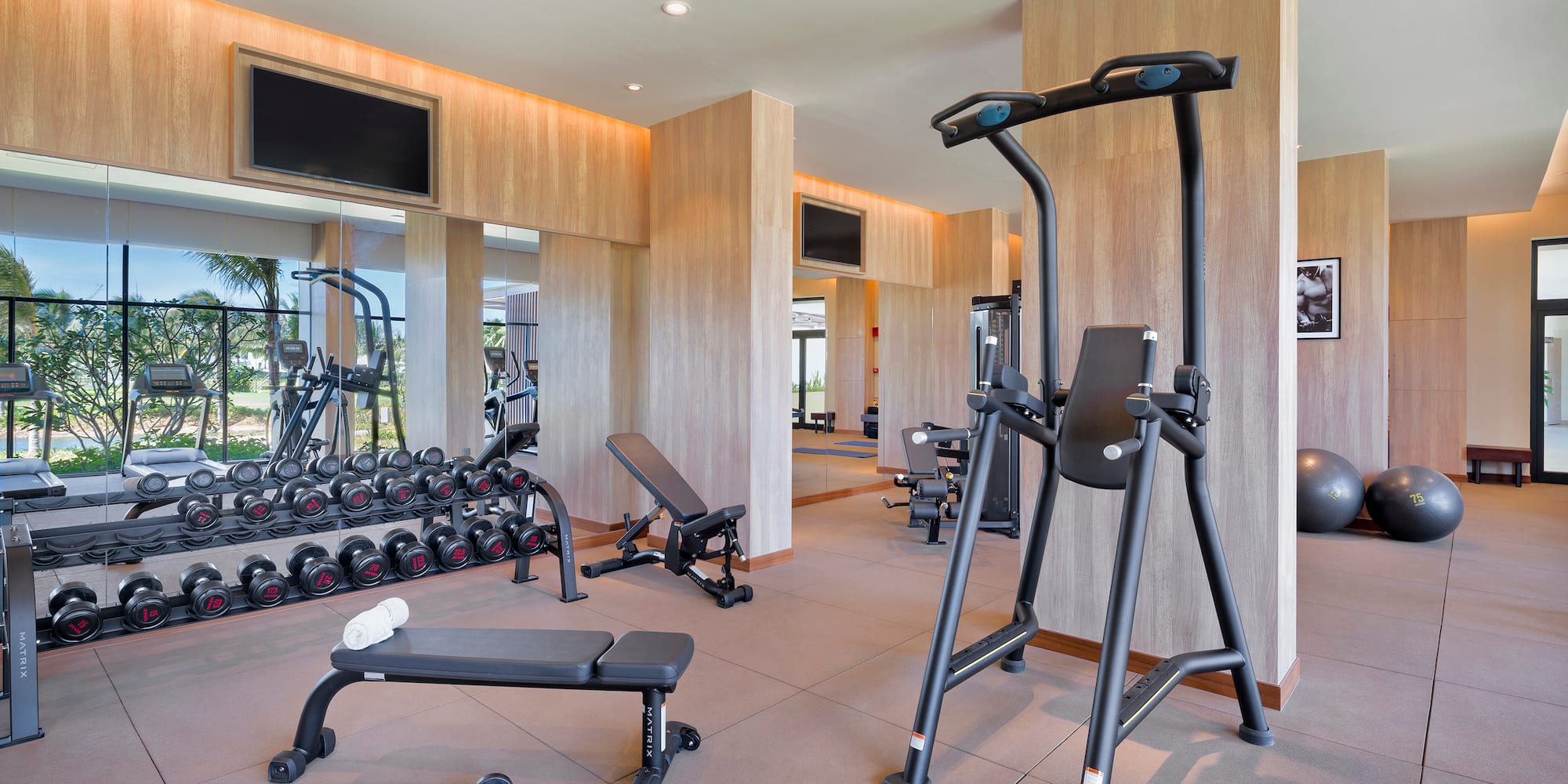 Modern gym with dumbbells, benches, cardio machines, and a tropical view.