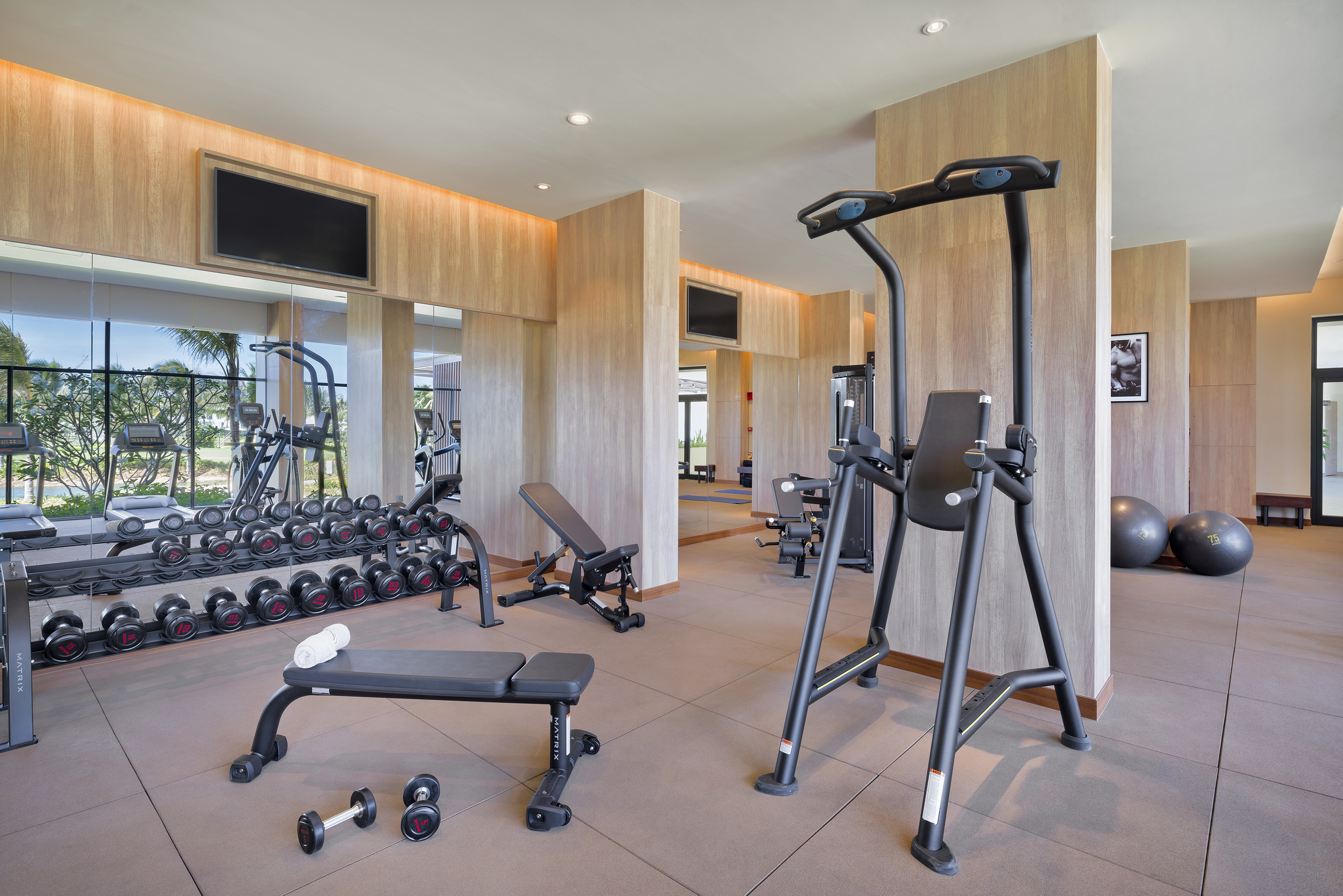 Modern gym with dumbbells, benches, cardio machines, and a tropical view.