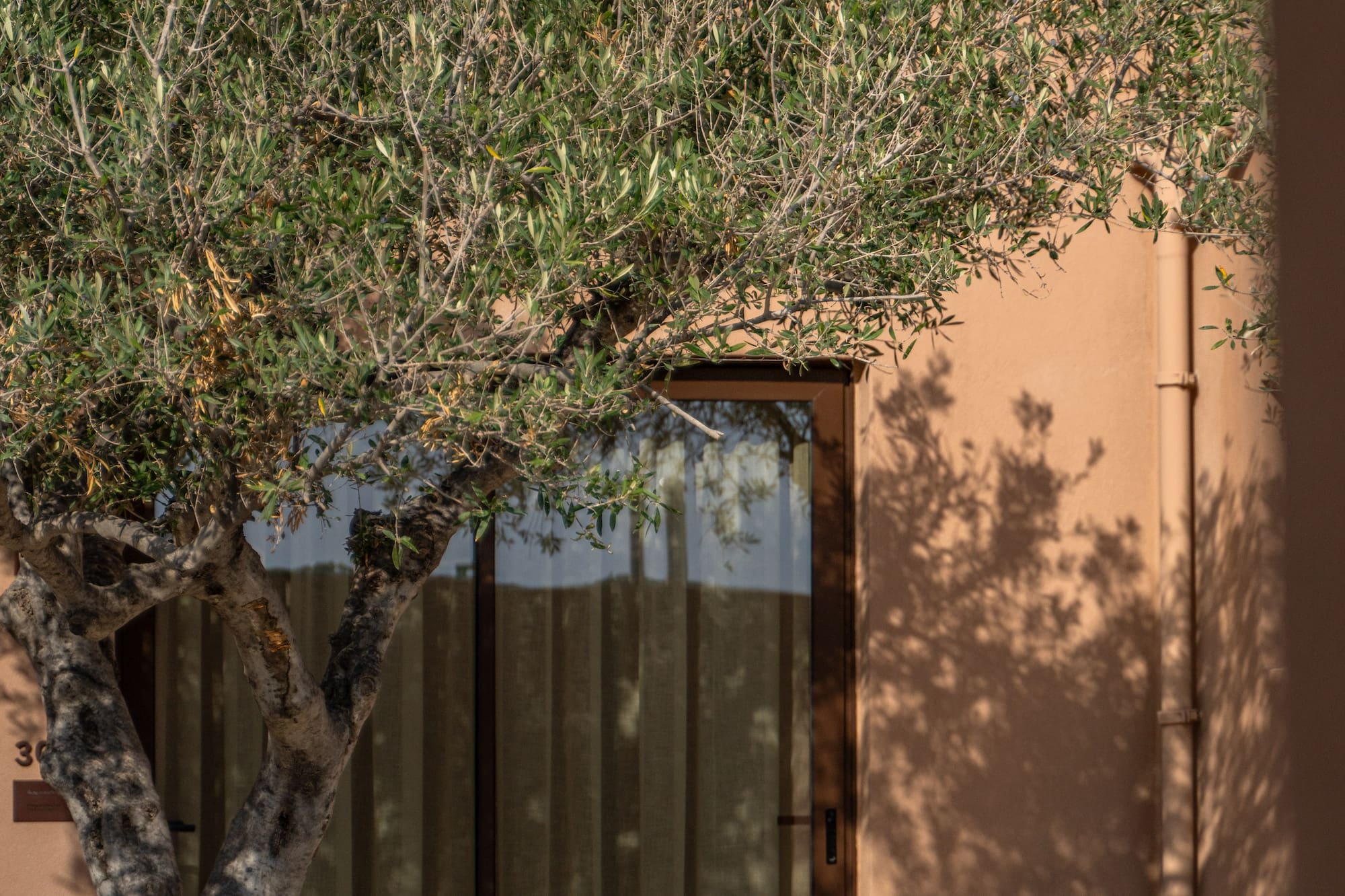 a tree next to a door
