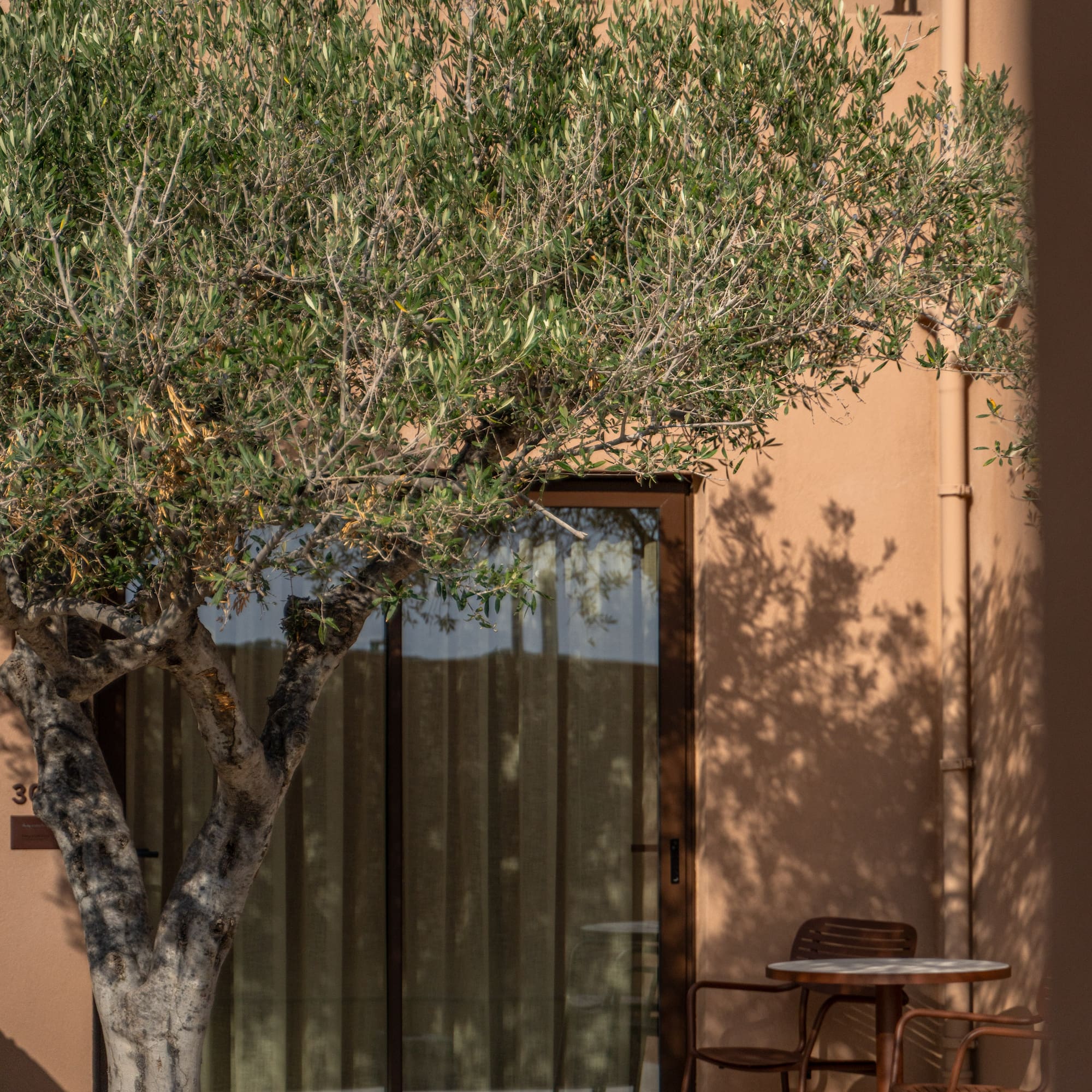 a tree next to a door
