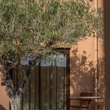 a tree next to a door