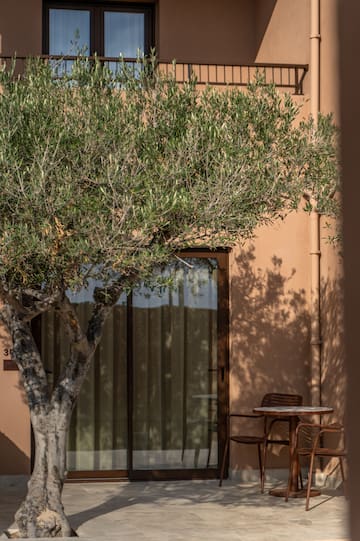 a tree next to a door