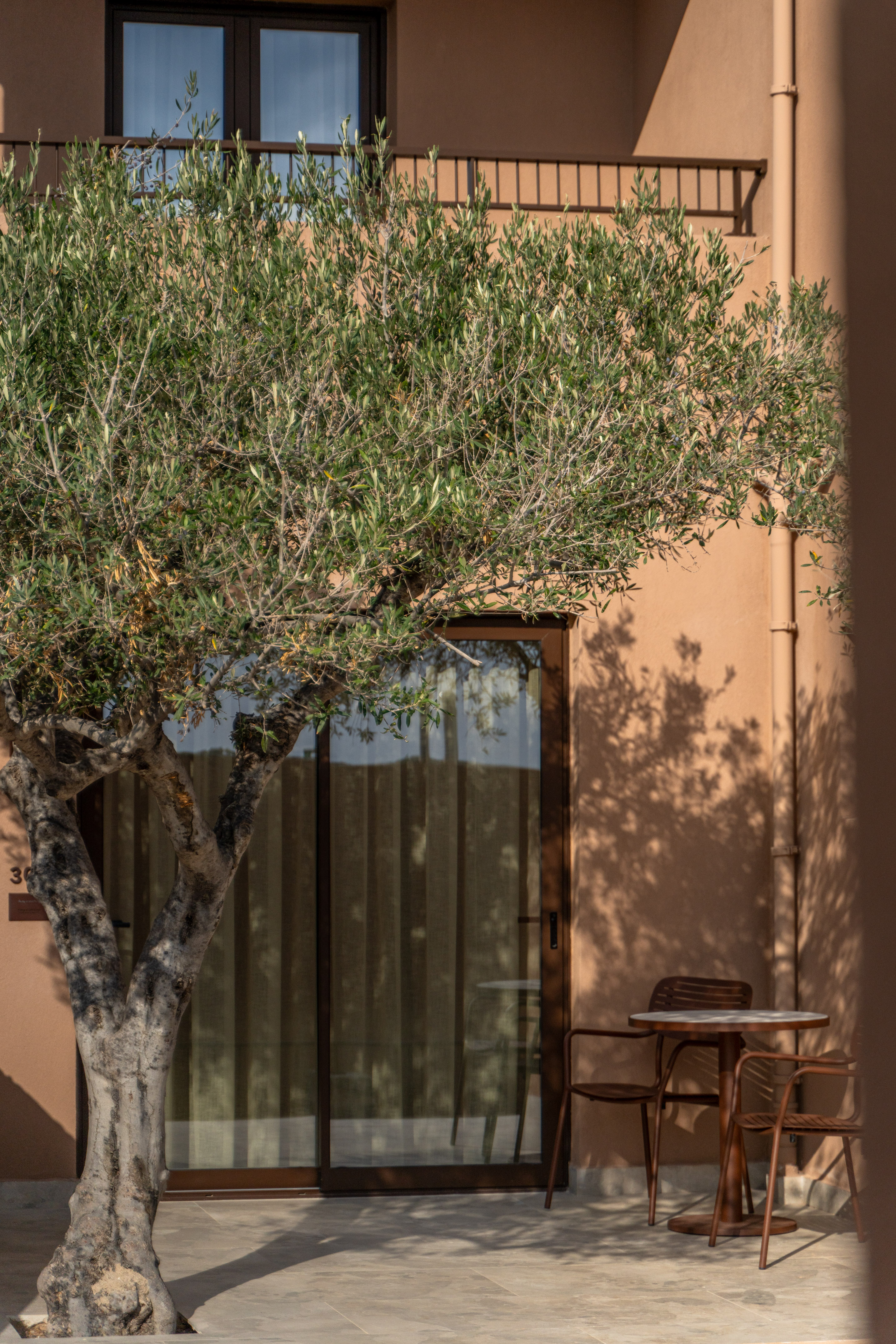 Sunny terrace with olive tree, outdoor dining set, and building facade.