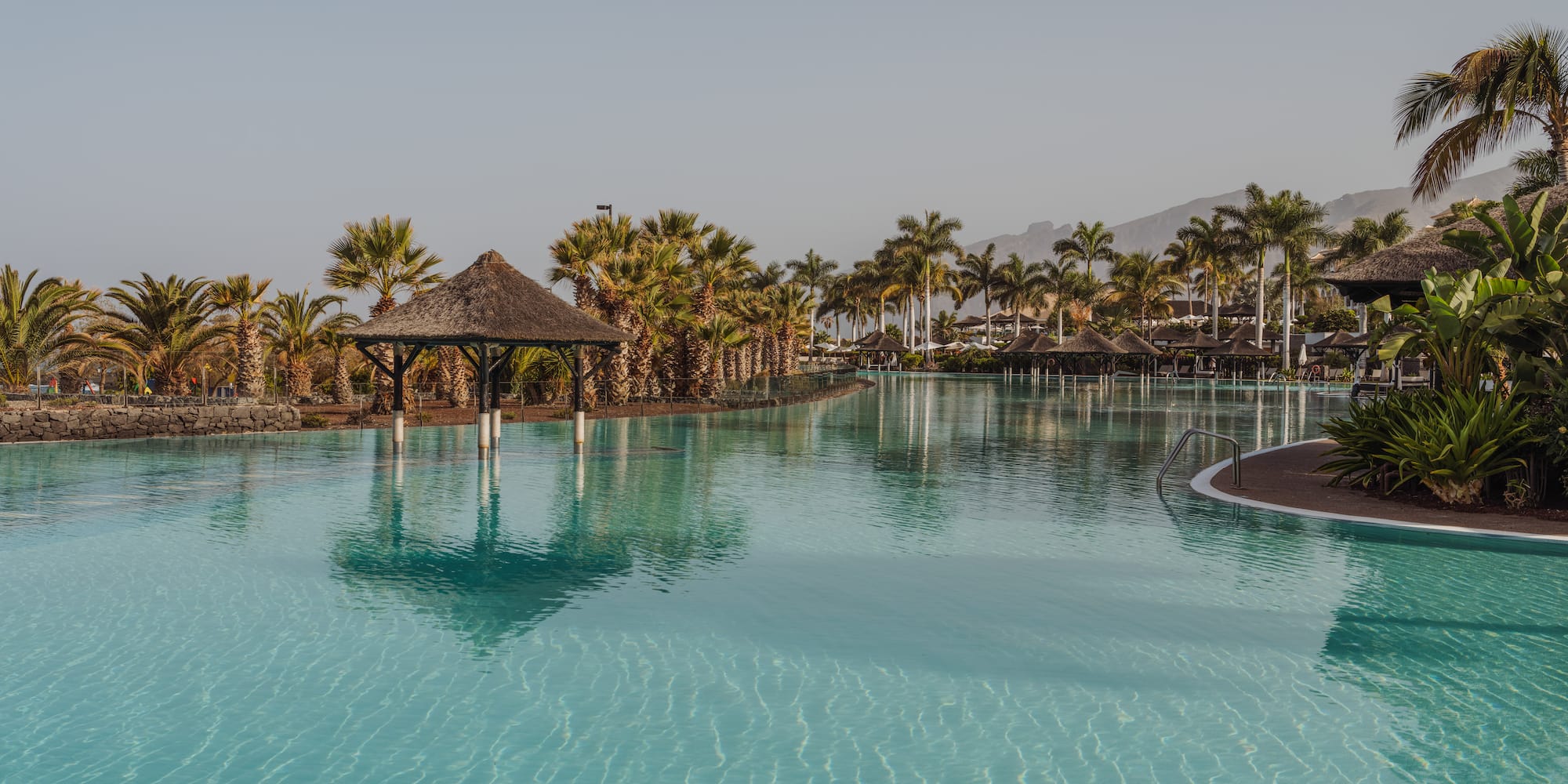 a pool with palm trees and buildings