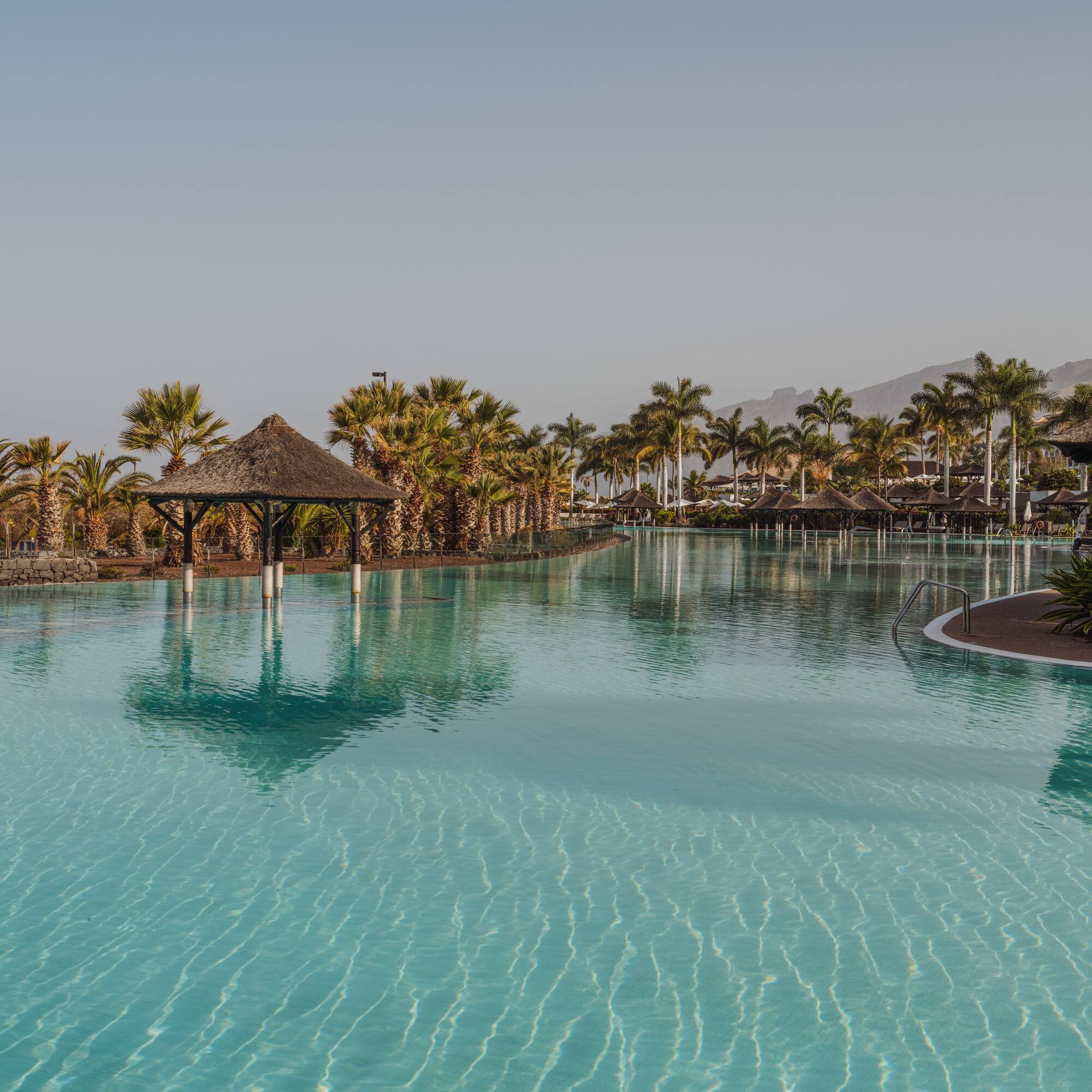 a pool with palm trees and buildings