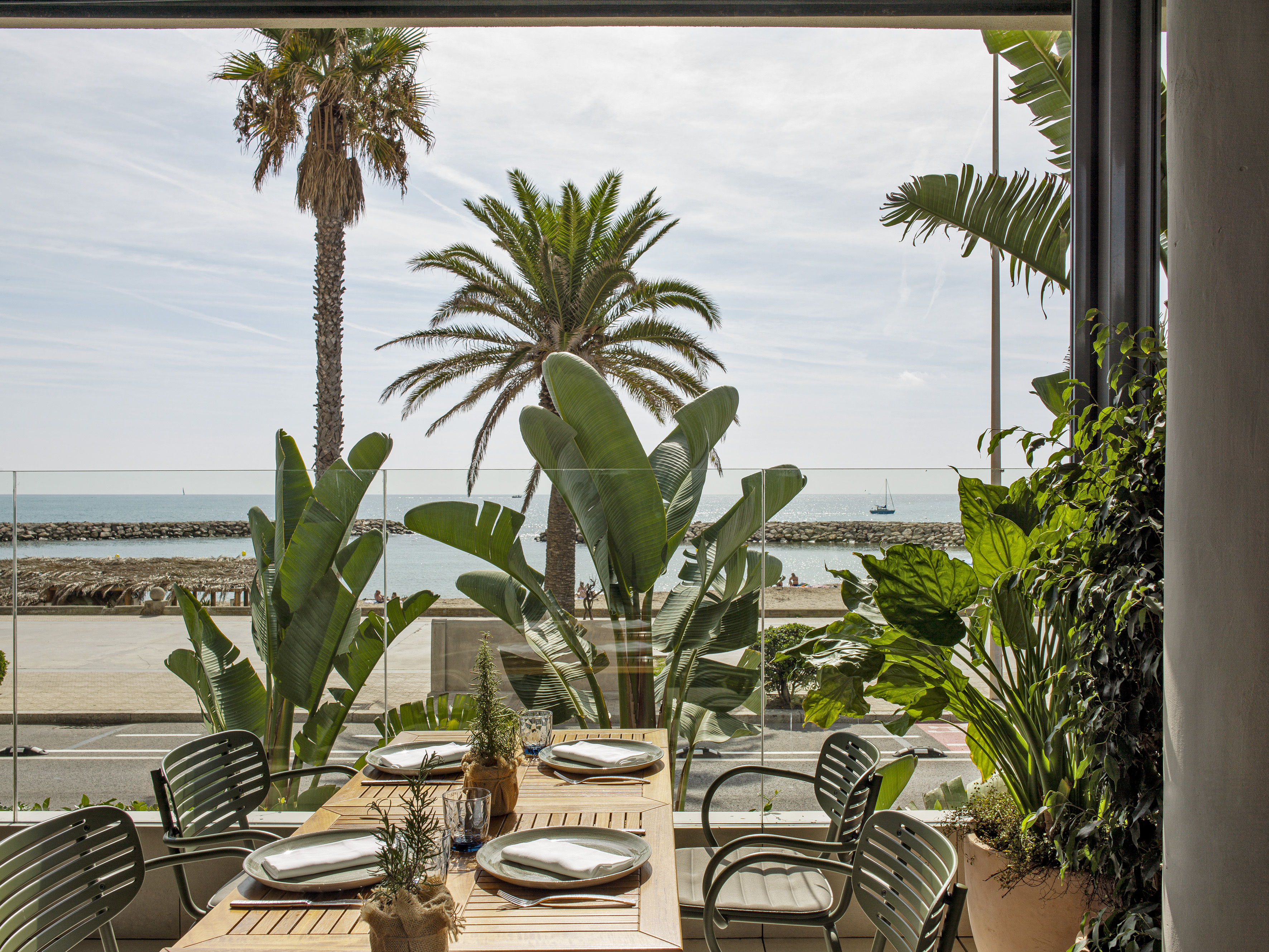 Restaurant terrace with ocean view, palm trees, and set dining table.