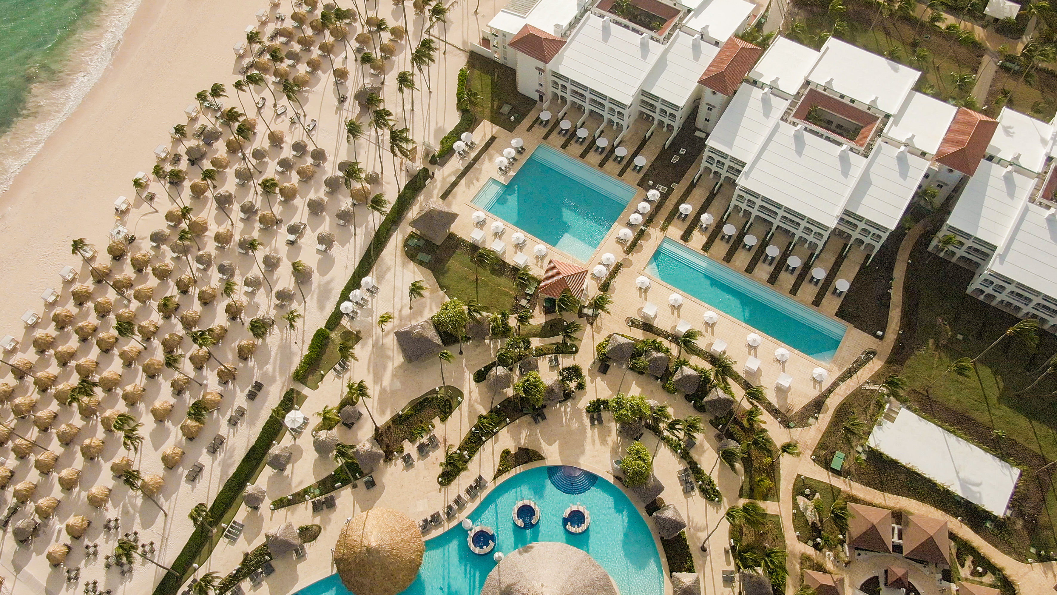 a swimming pool and palm trees