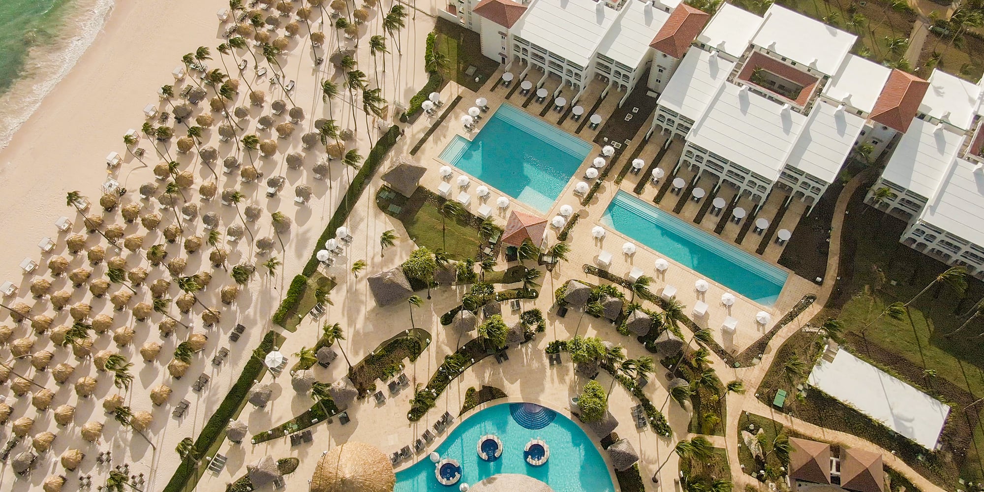 a swimming pool and palm trees