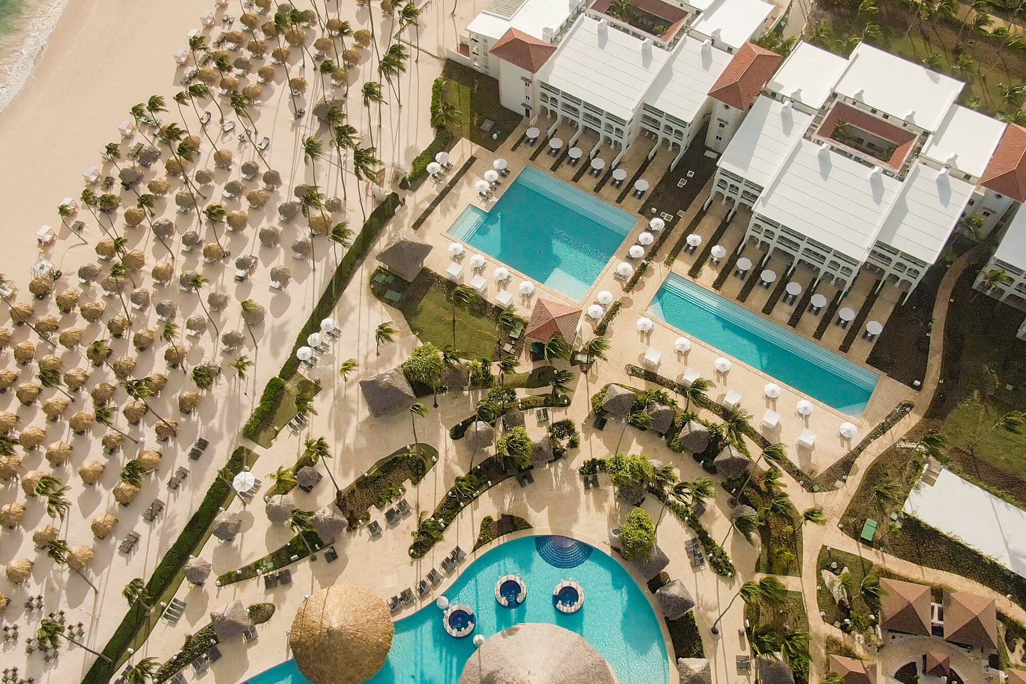 a swimming pool and palm trees