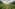 Rural rice terraces with a path leading to a misty mountain village.
