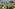 Coastal resort garden with pool, cabanas, palm trees, and ocean view.