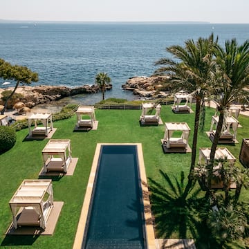 a pool with lounge chairs and palm trees by the water.