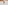 Brown curly poodle dog peeking from white bed, looking forward.