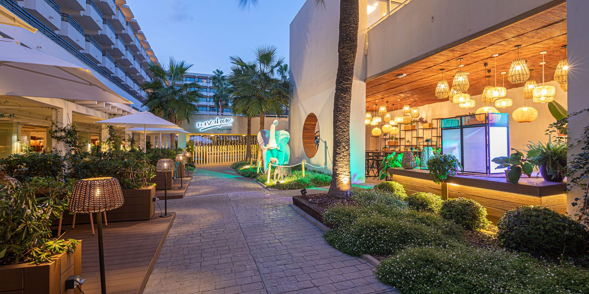 a walkway with plants and trees and a building with lights