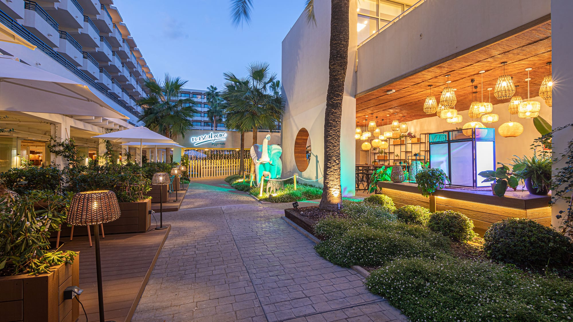 a walkway with plants and trees and a building with lights