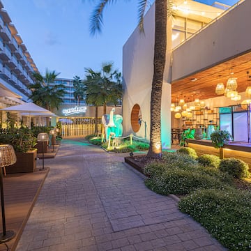 a walkway with plants and trees and a building with lights