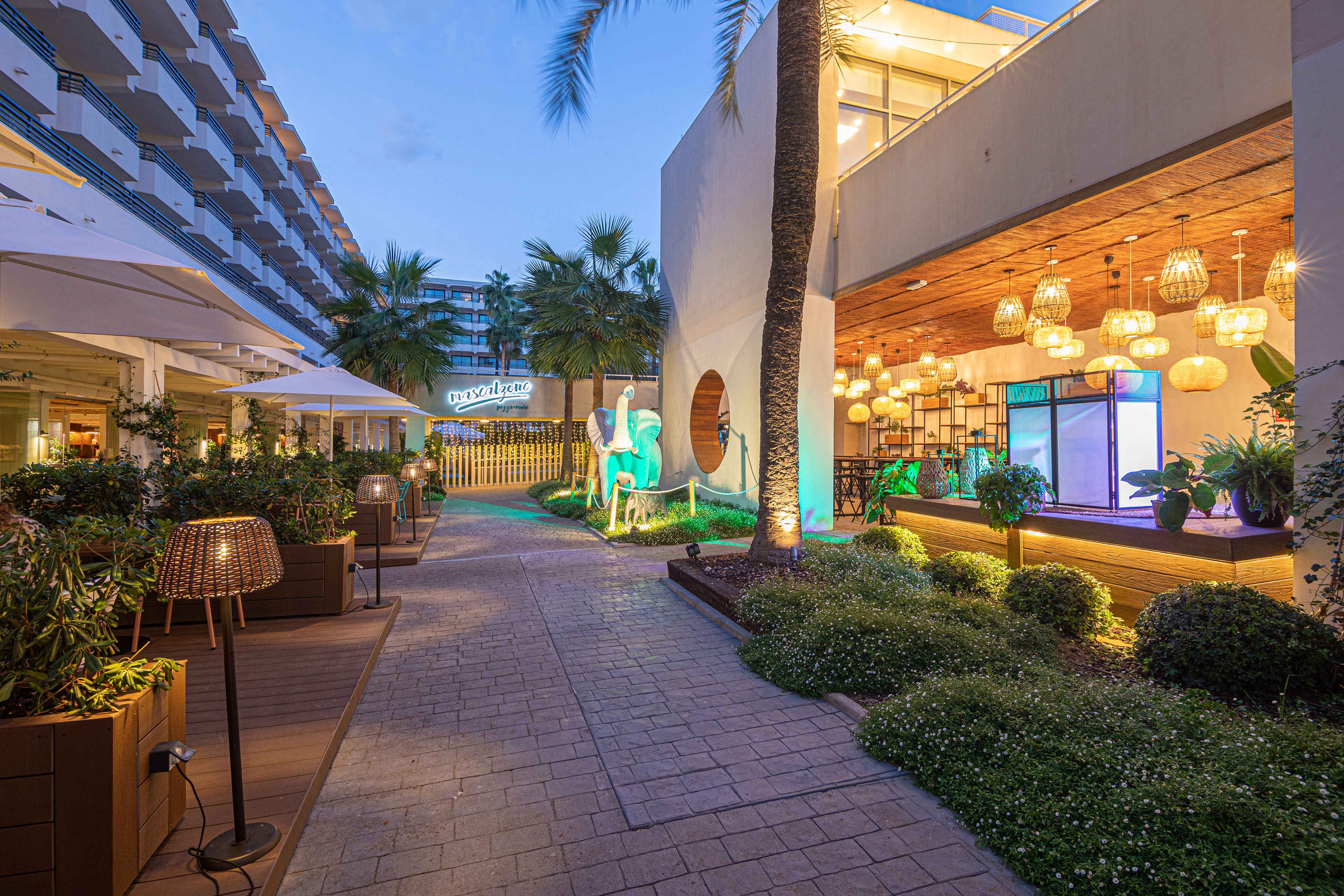 a walkway with plants and trees and a building with lights