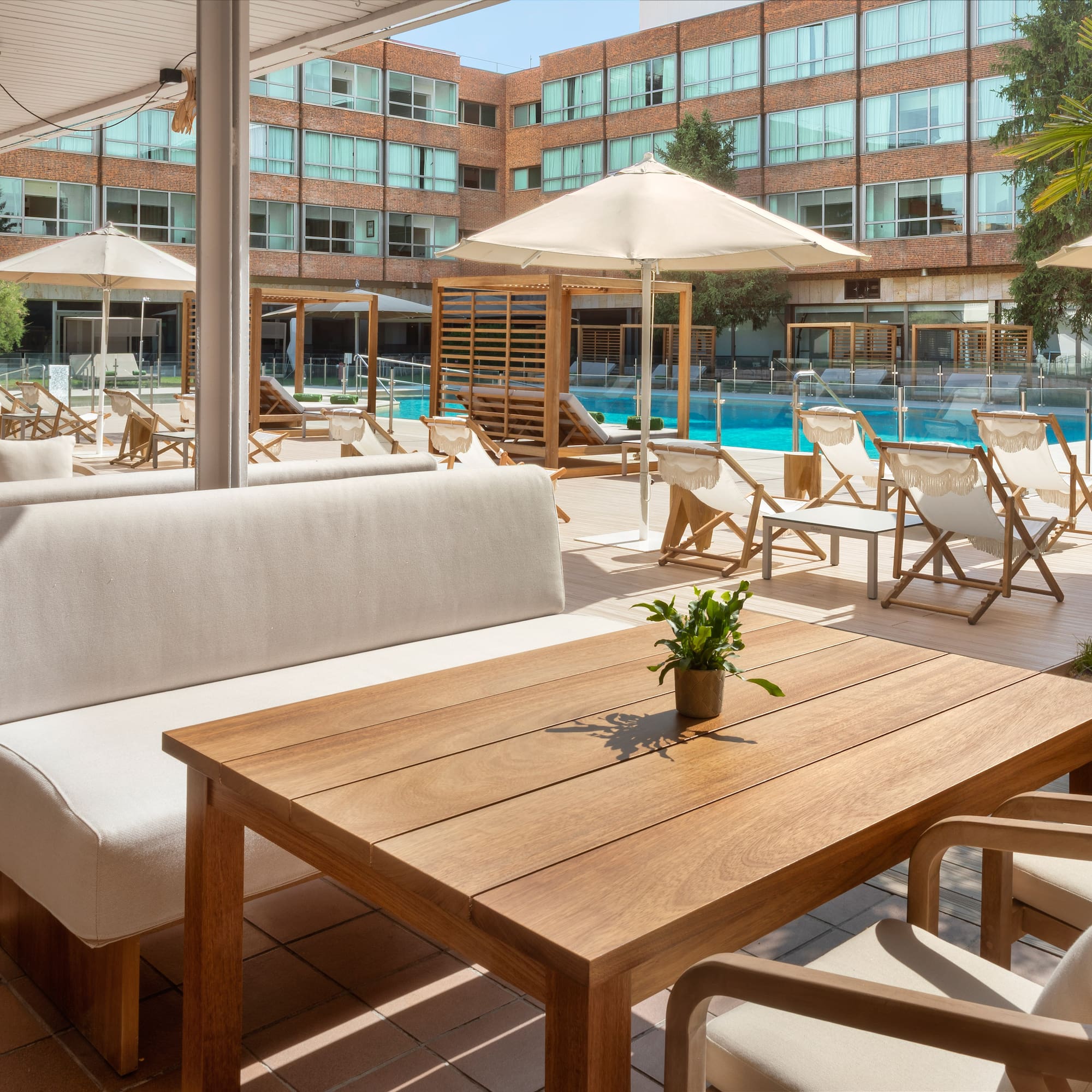 Sunny hotel outdoor lounge with pool, modern seating, and palm trees.