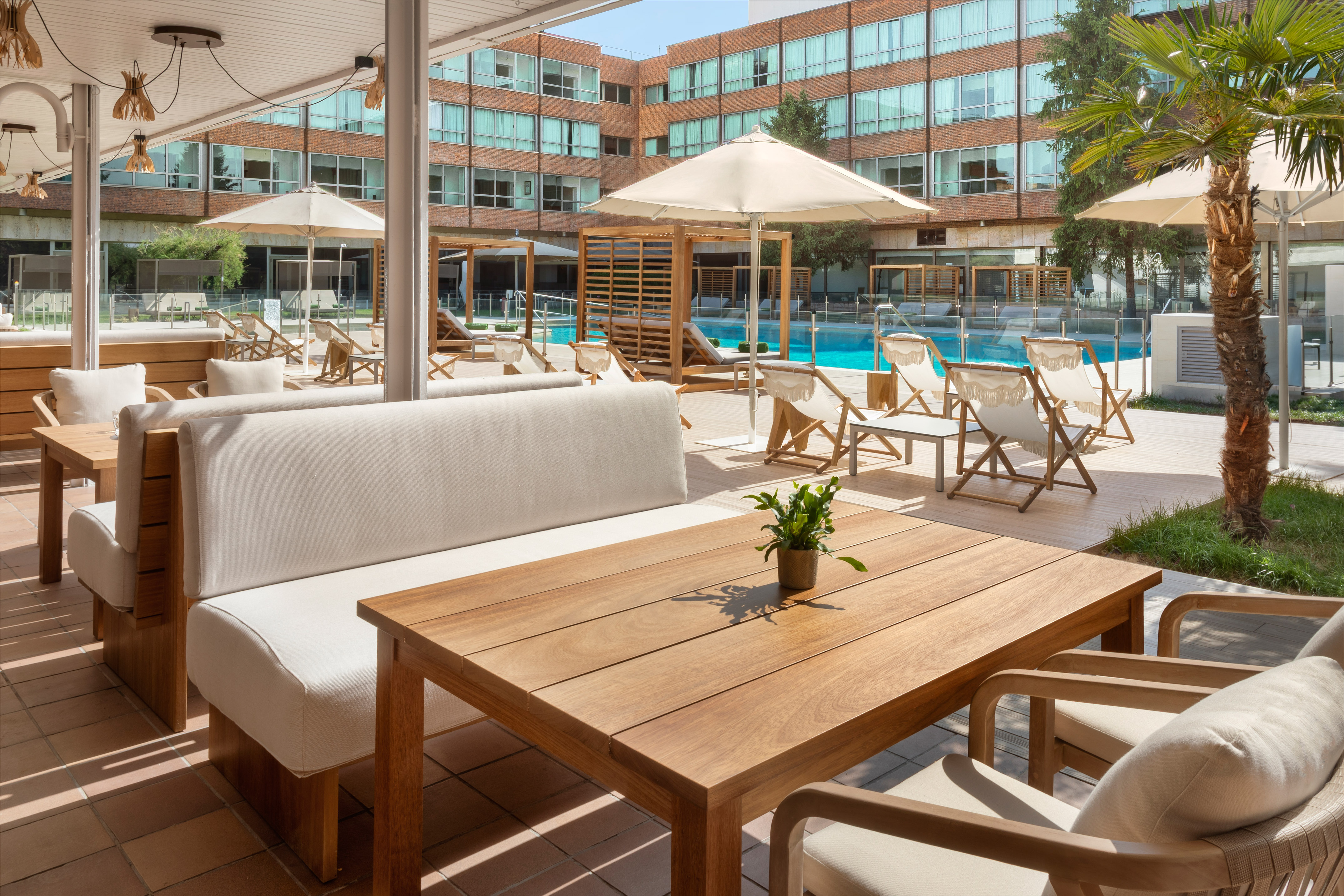Sunny hotel outdoor lounge with pool, modern seating, and palm trees.