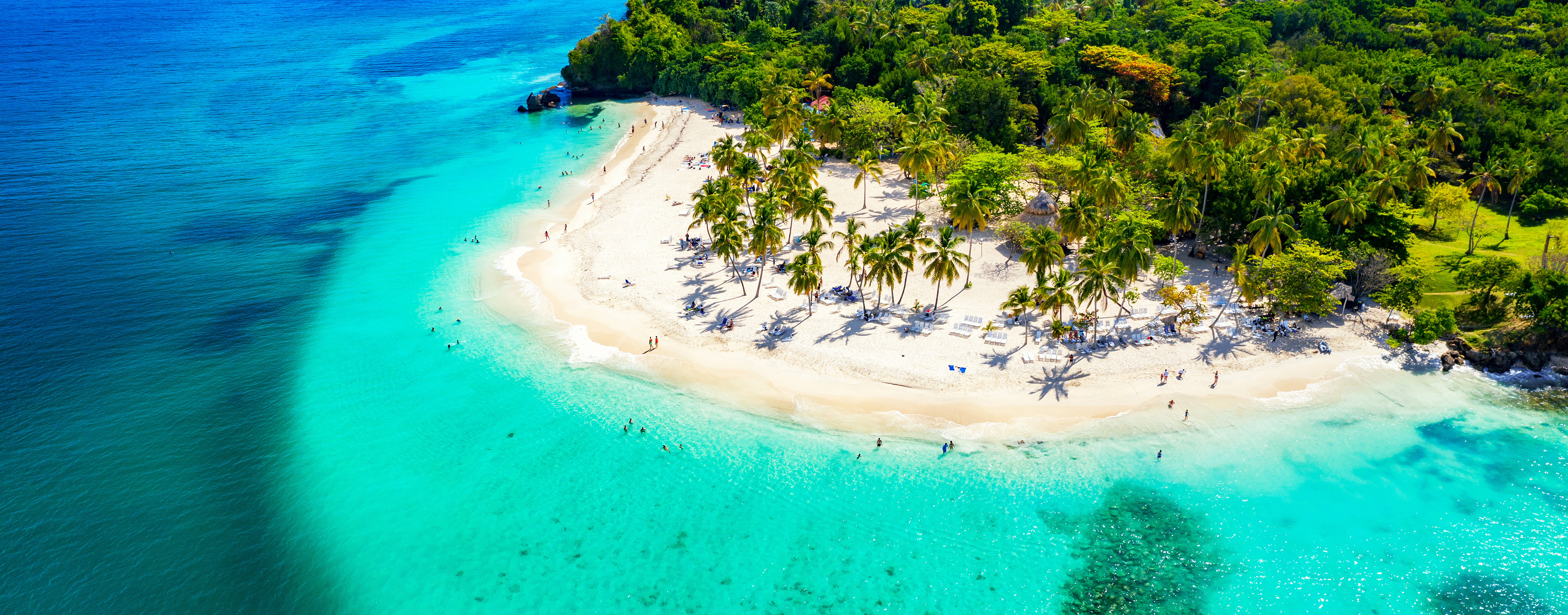 Vista aérea de playa caribeña con arena blanca, agua turquesa y palmeras.