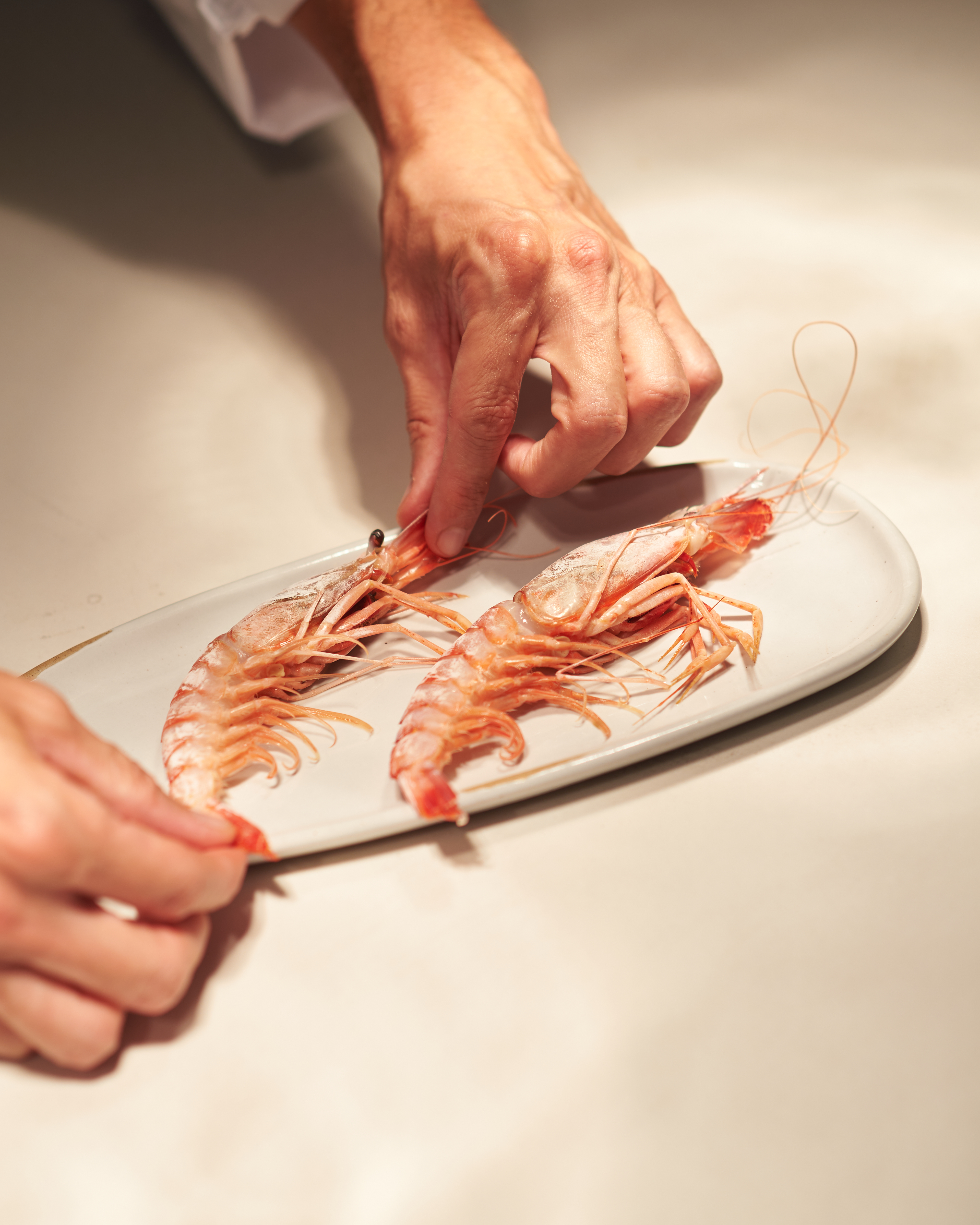 Hands arranging two raw pink prawns on a white plate.