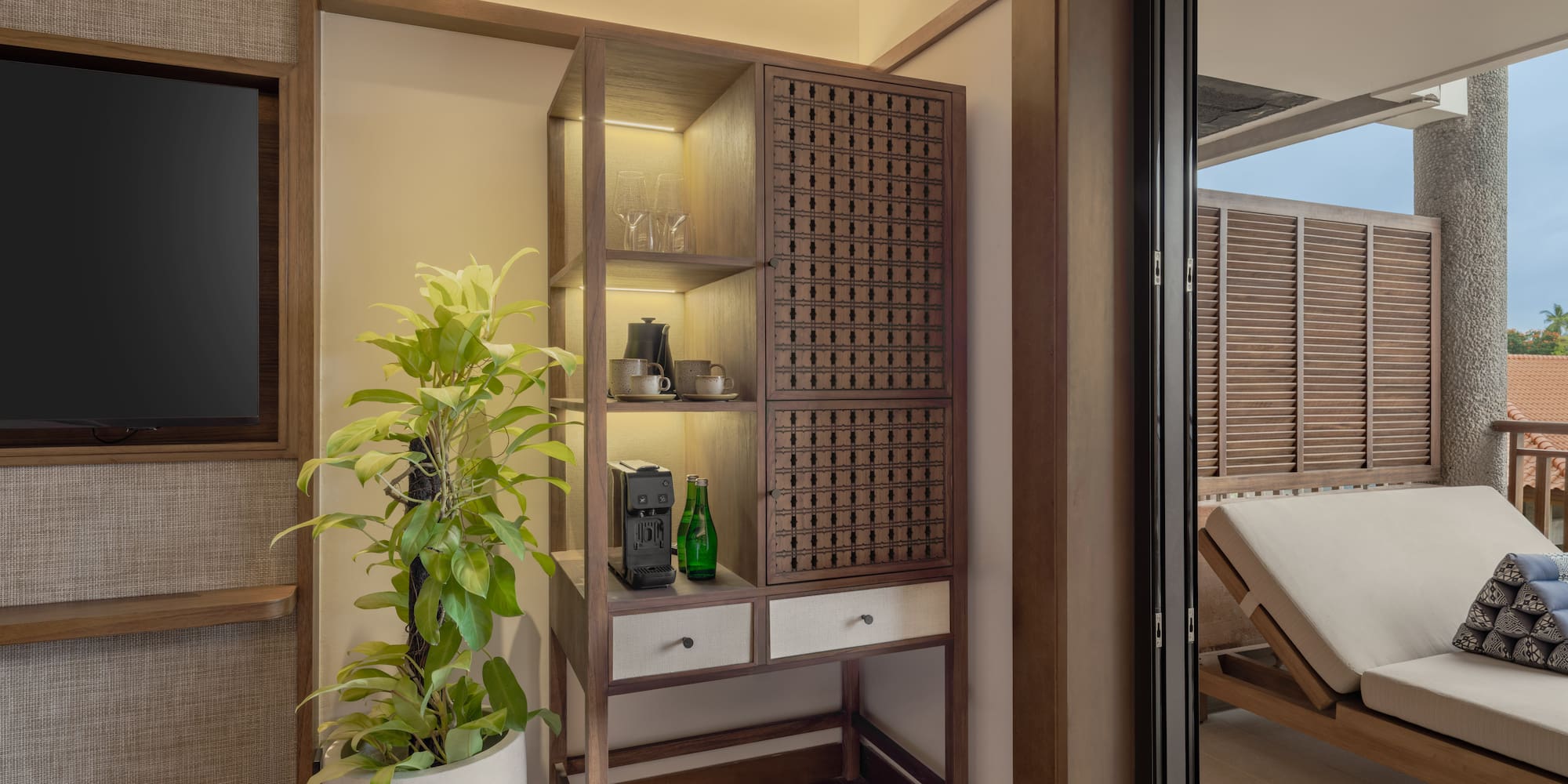 a room with a plant and a tv