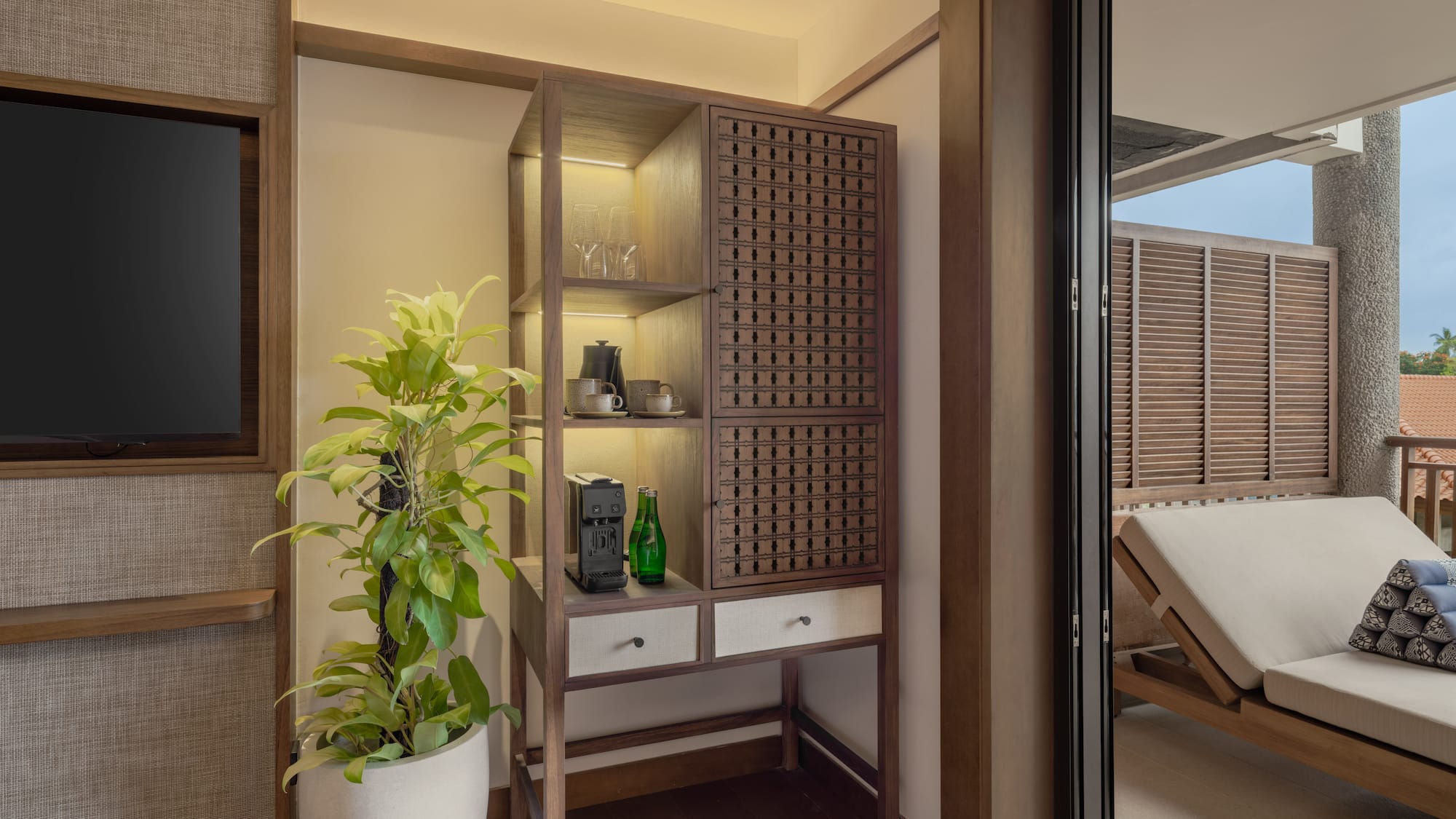 a room with a plant and a tv