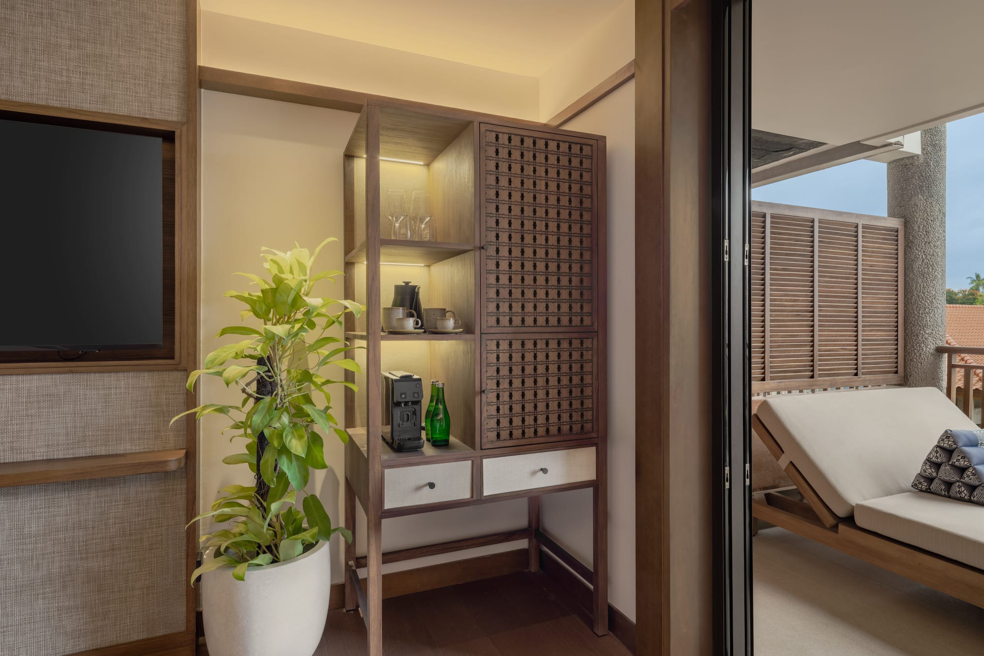 a room with a plant and a tv