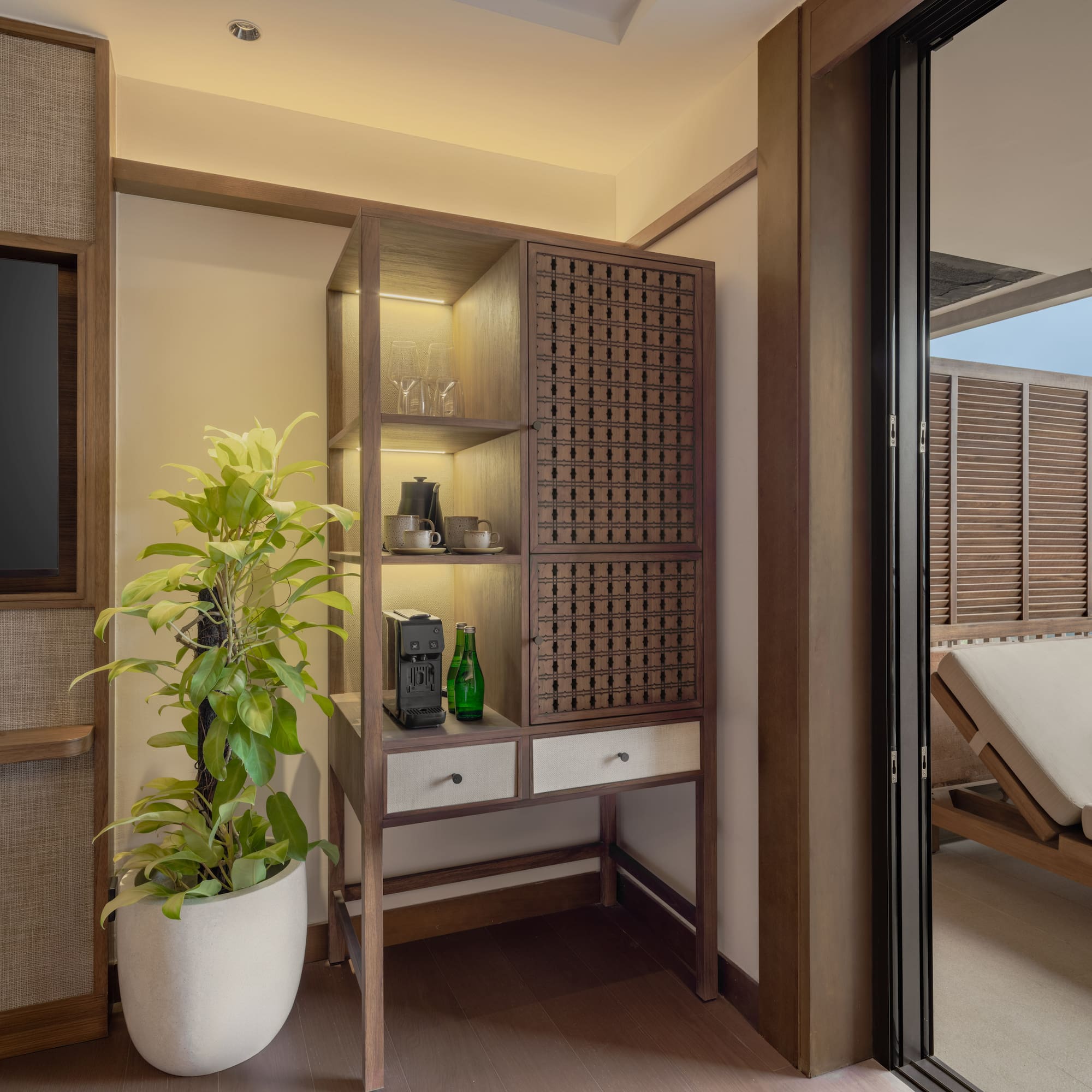 a room with a plant and a tv