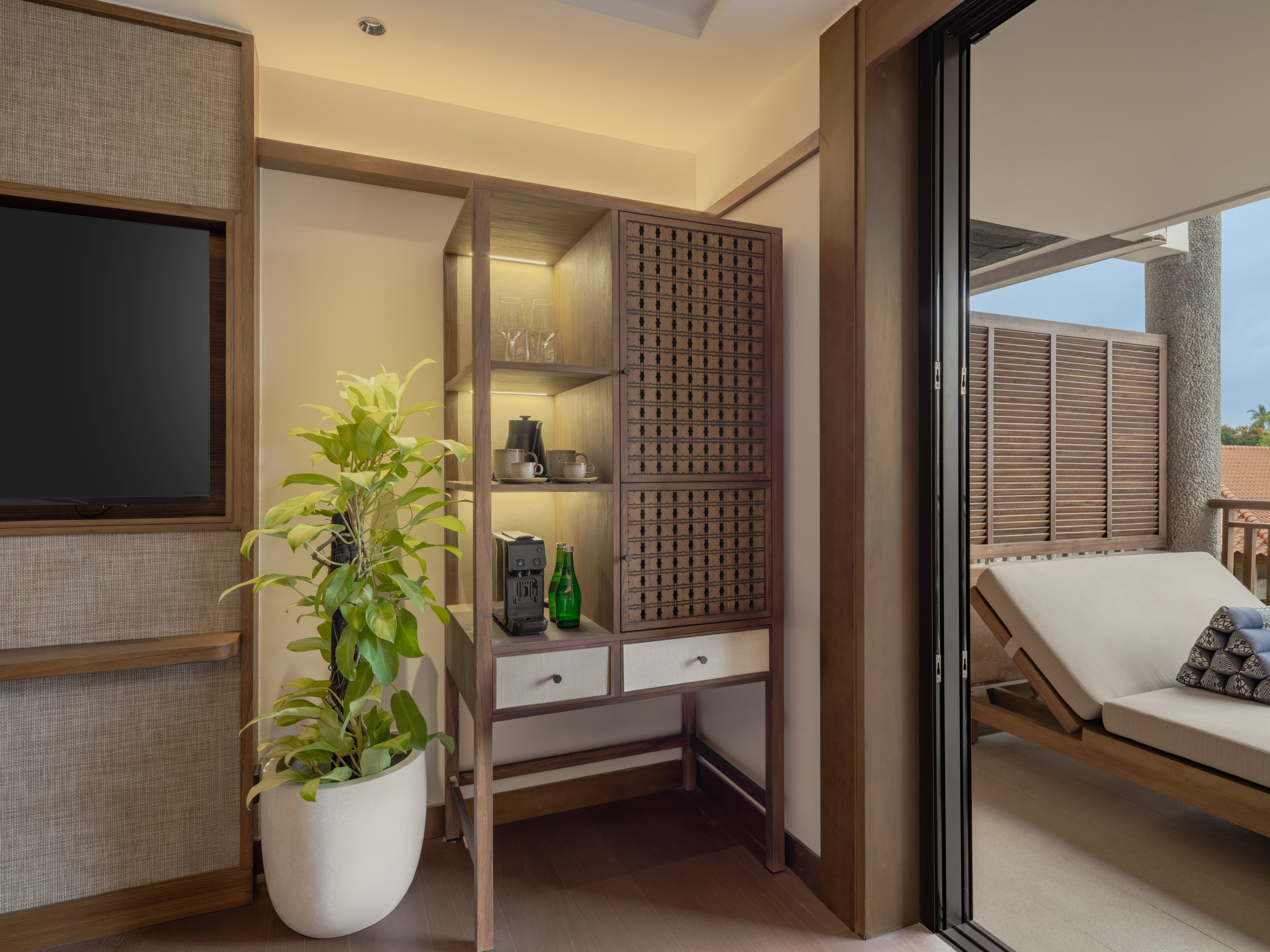 a room with a plant and a tv