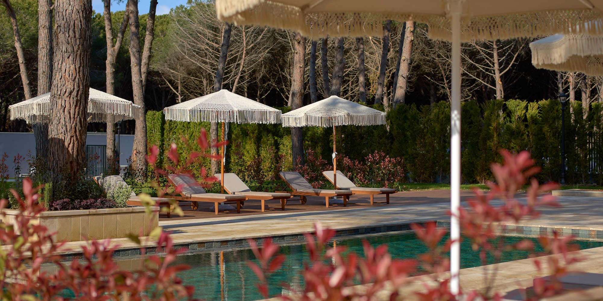 a pool with chairs and umbrellas