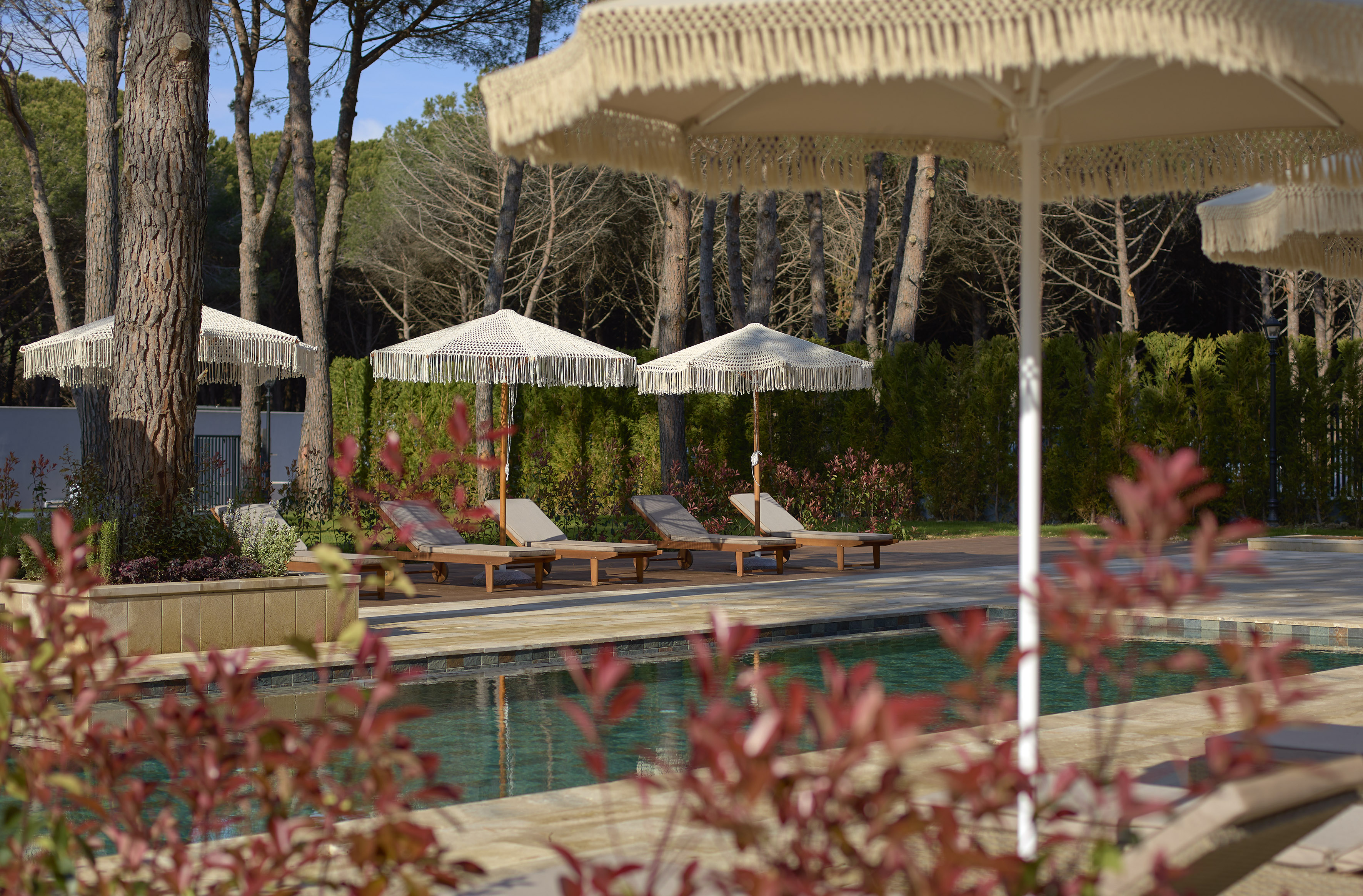 Outdoor pool with cream fringe umbrellas, wooden loungers, and pine trees.