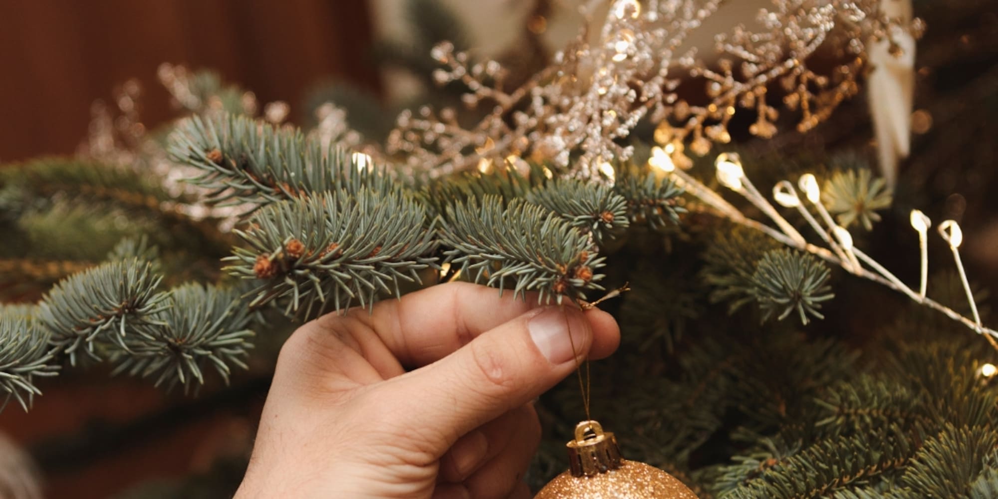 Decorating Christmas tree: hand hanging a sparkling gold bauble.