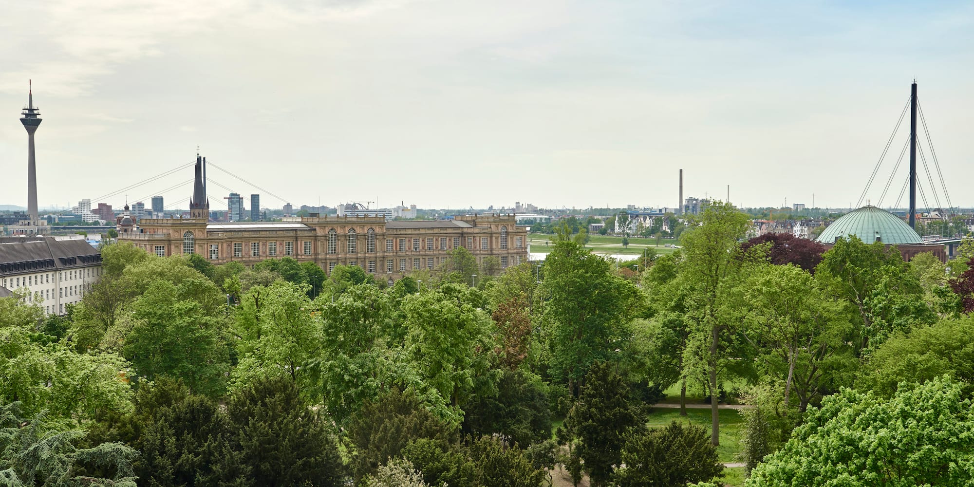 Düsseldorf skyline over green Hofgarten park with Rheinturm and Tonhalle.
