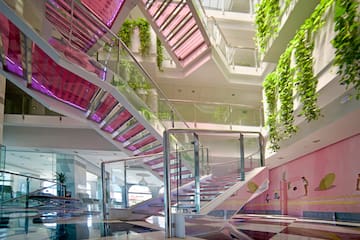 a staircase with glass railings and plants