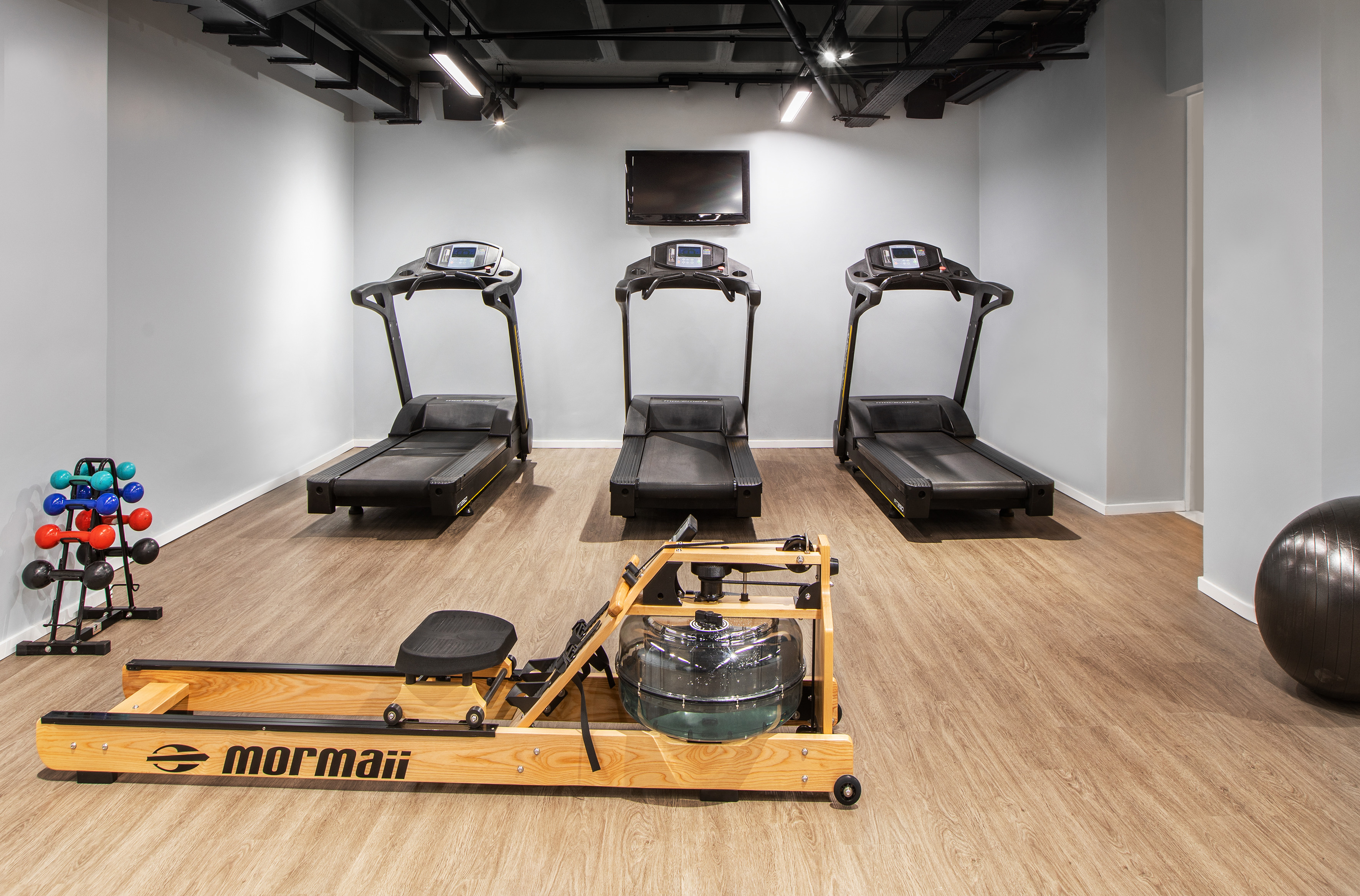Gym room with treadmills, rowing machine, dumbbells, and stability ball.