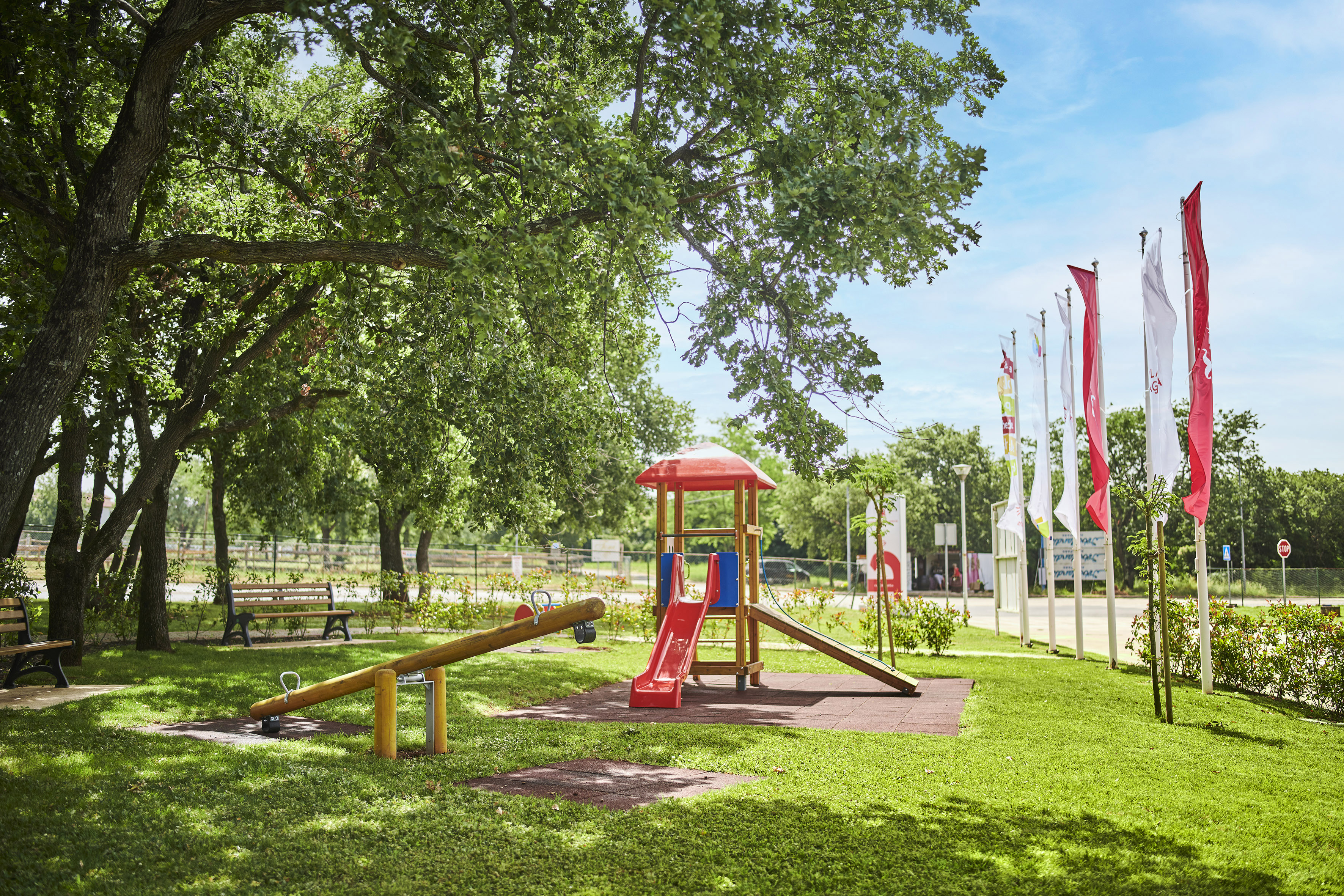a playground with a slide and a tree