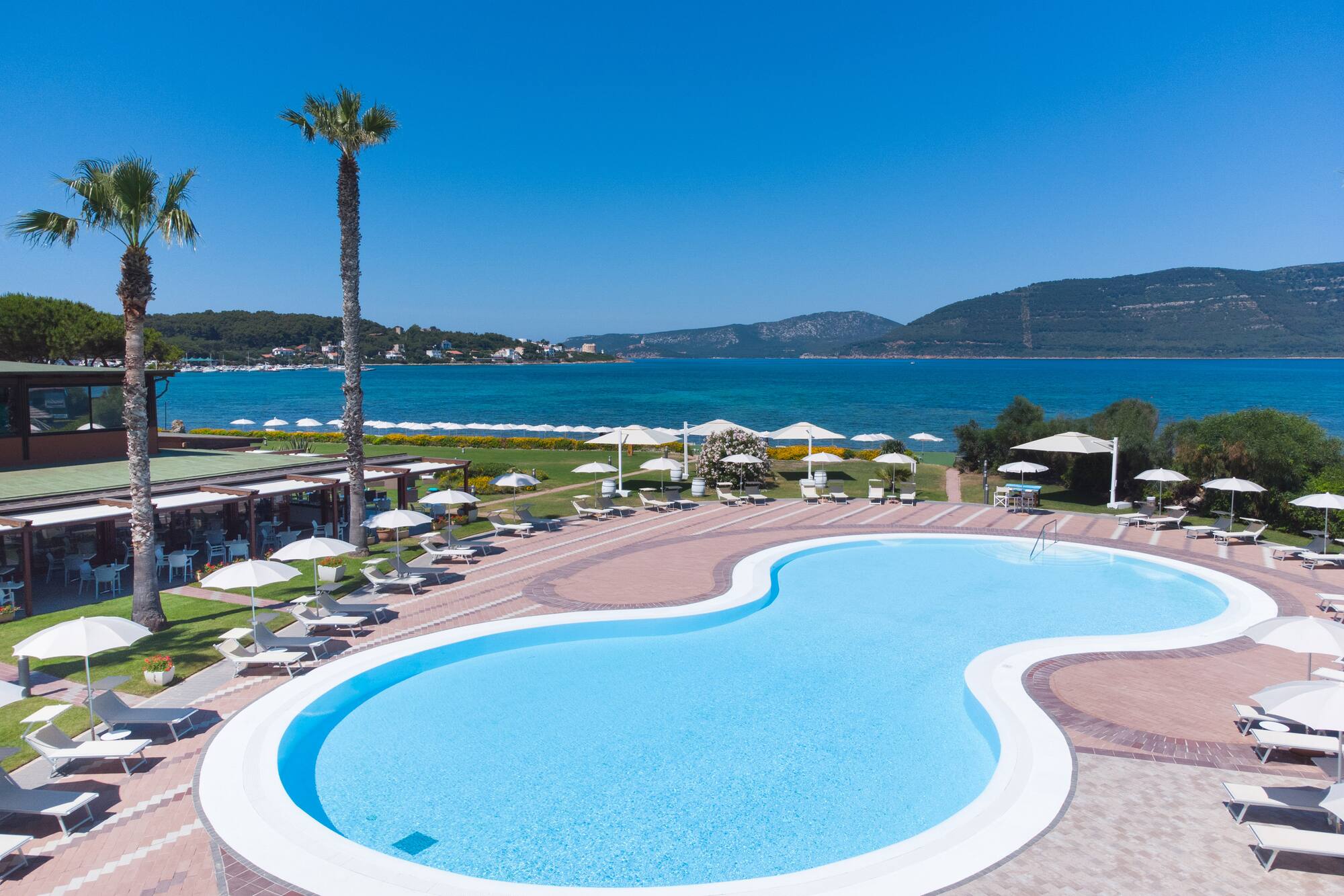 Hotel resort pool overlooking a blue sea, with palm trees and loungers.