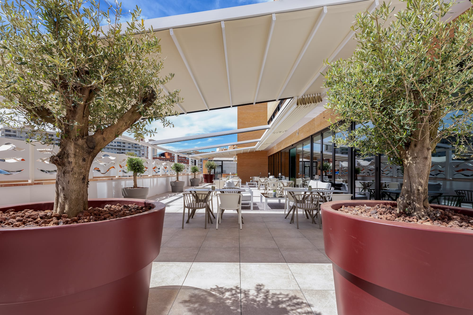 Beige retractable pergola awning for patio shade, with olive trees.