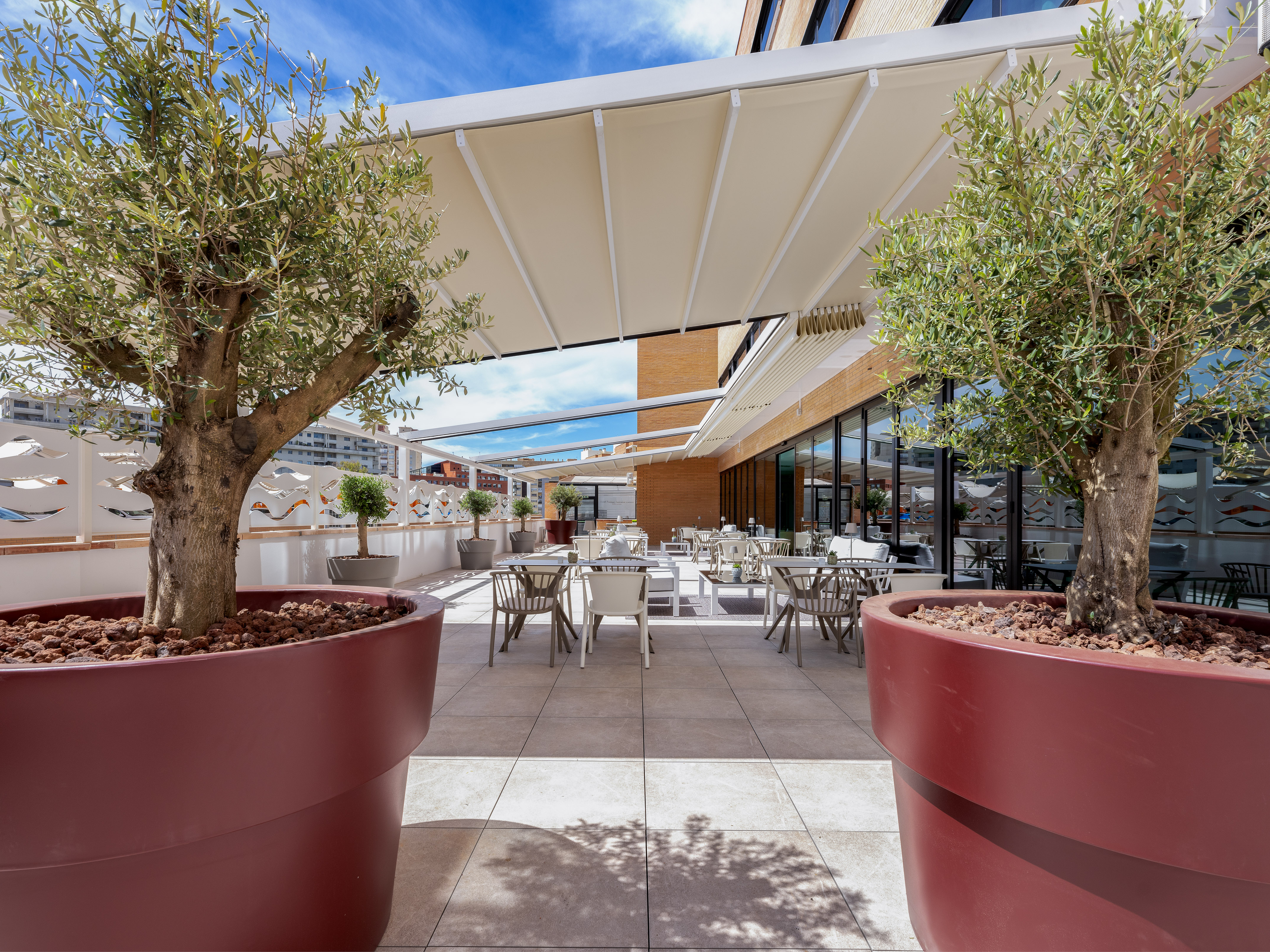 Beige retractable pergola awning for patio shade, with olive trees.