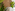 a room with white chairs and plants