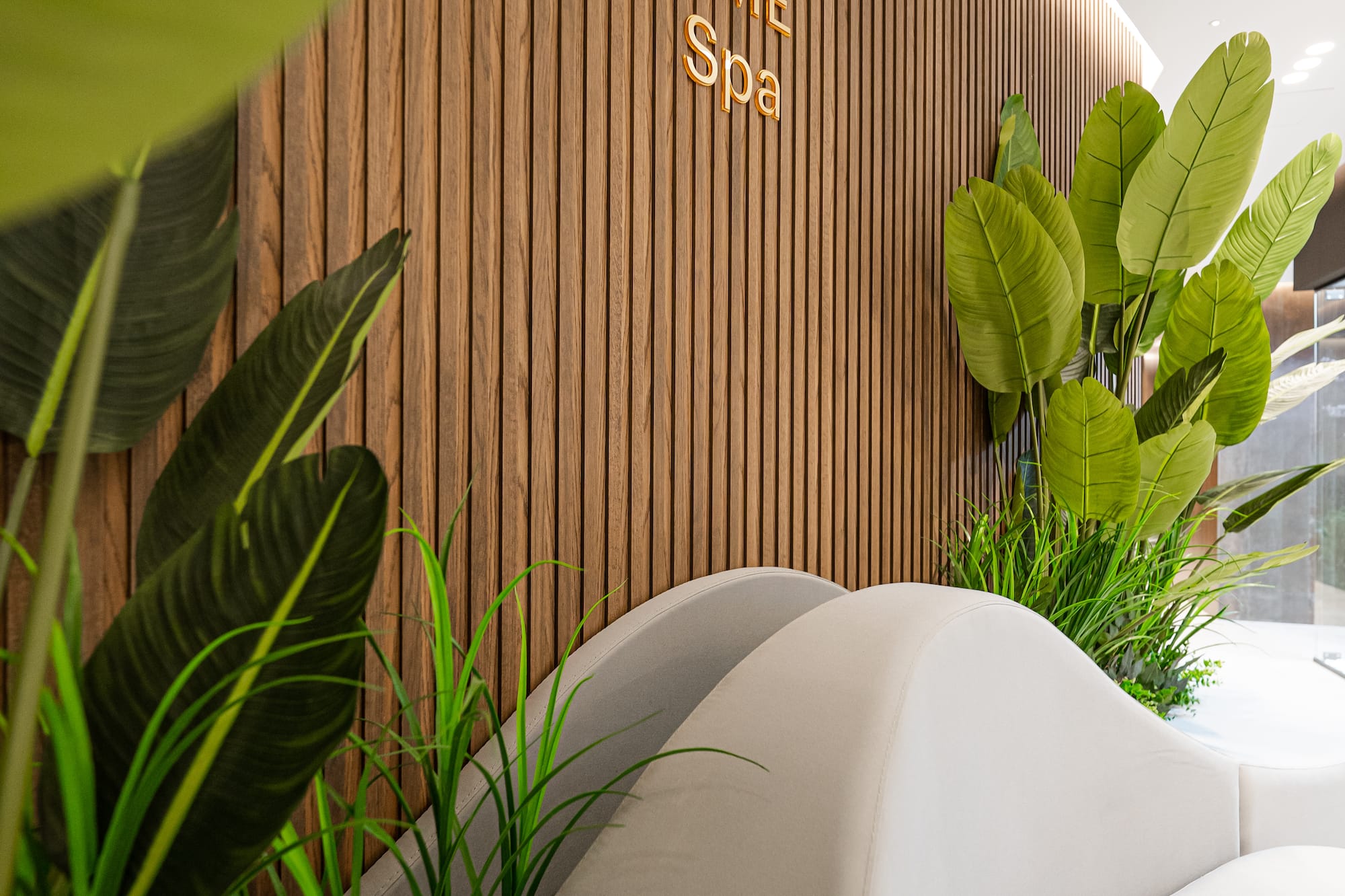 a room with white chairs and plants