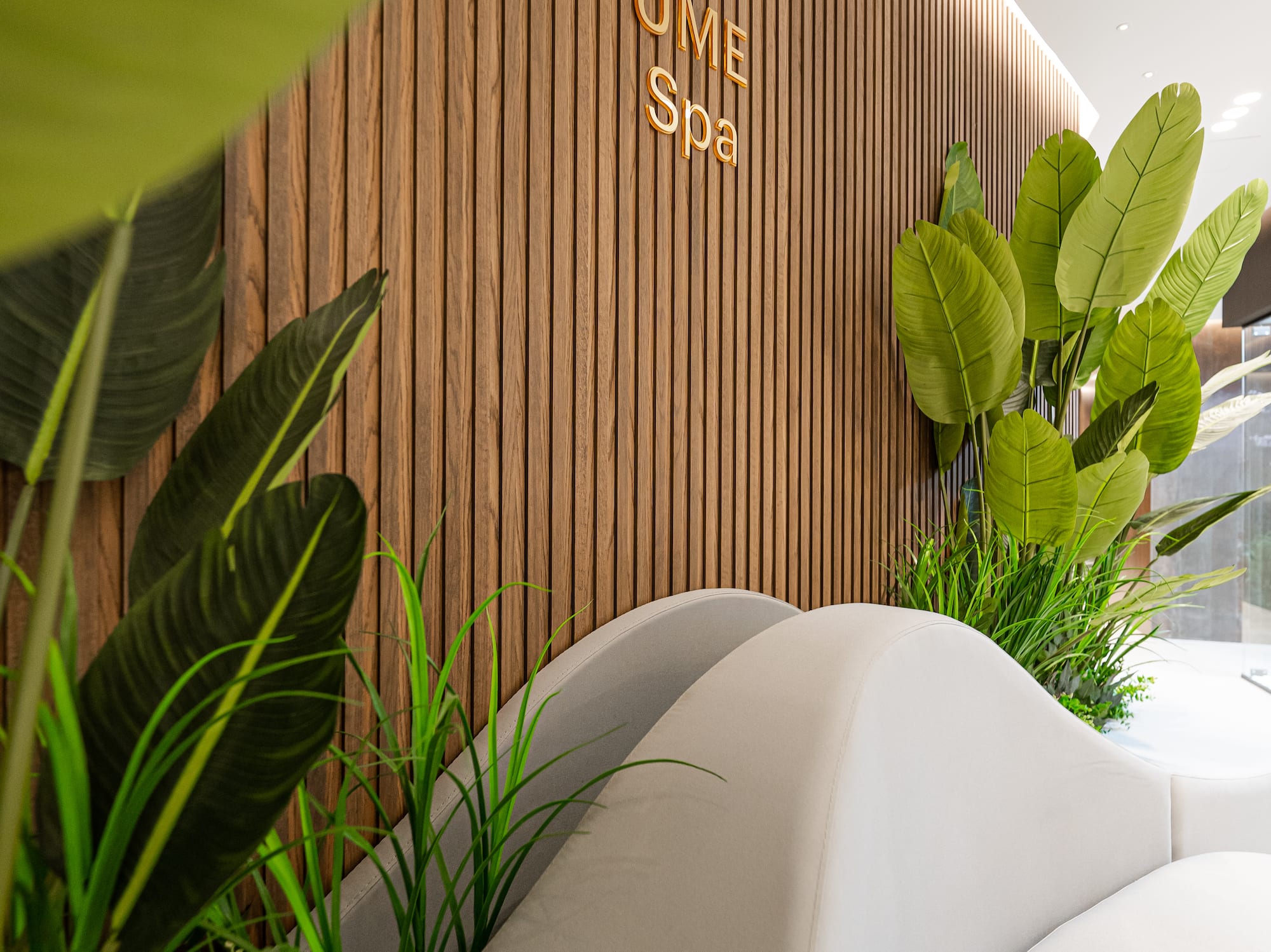 a room with white chairs and plants
