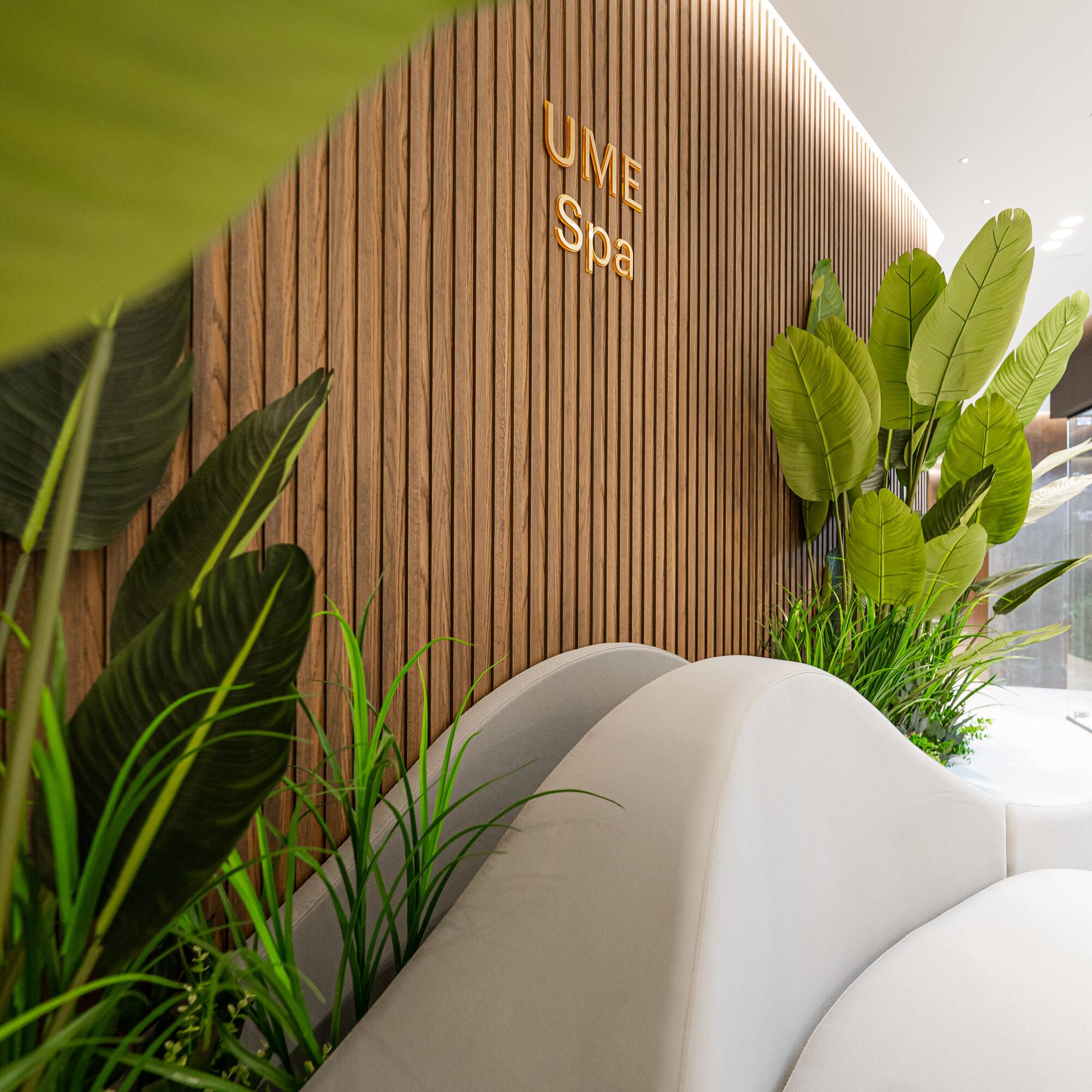 a room with white chairs and plants