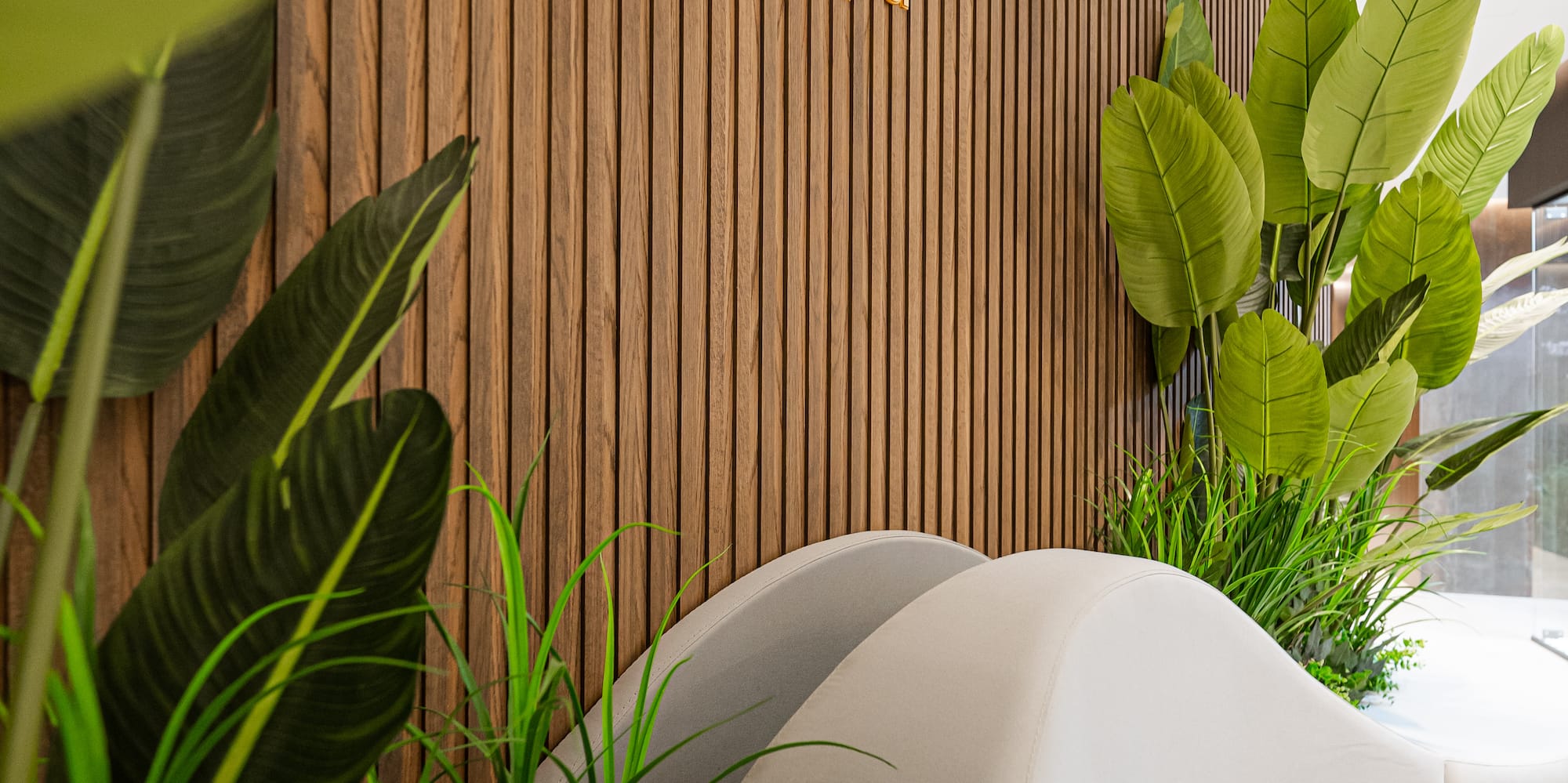 a room with white chairs and plants