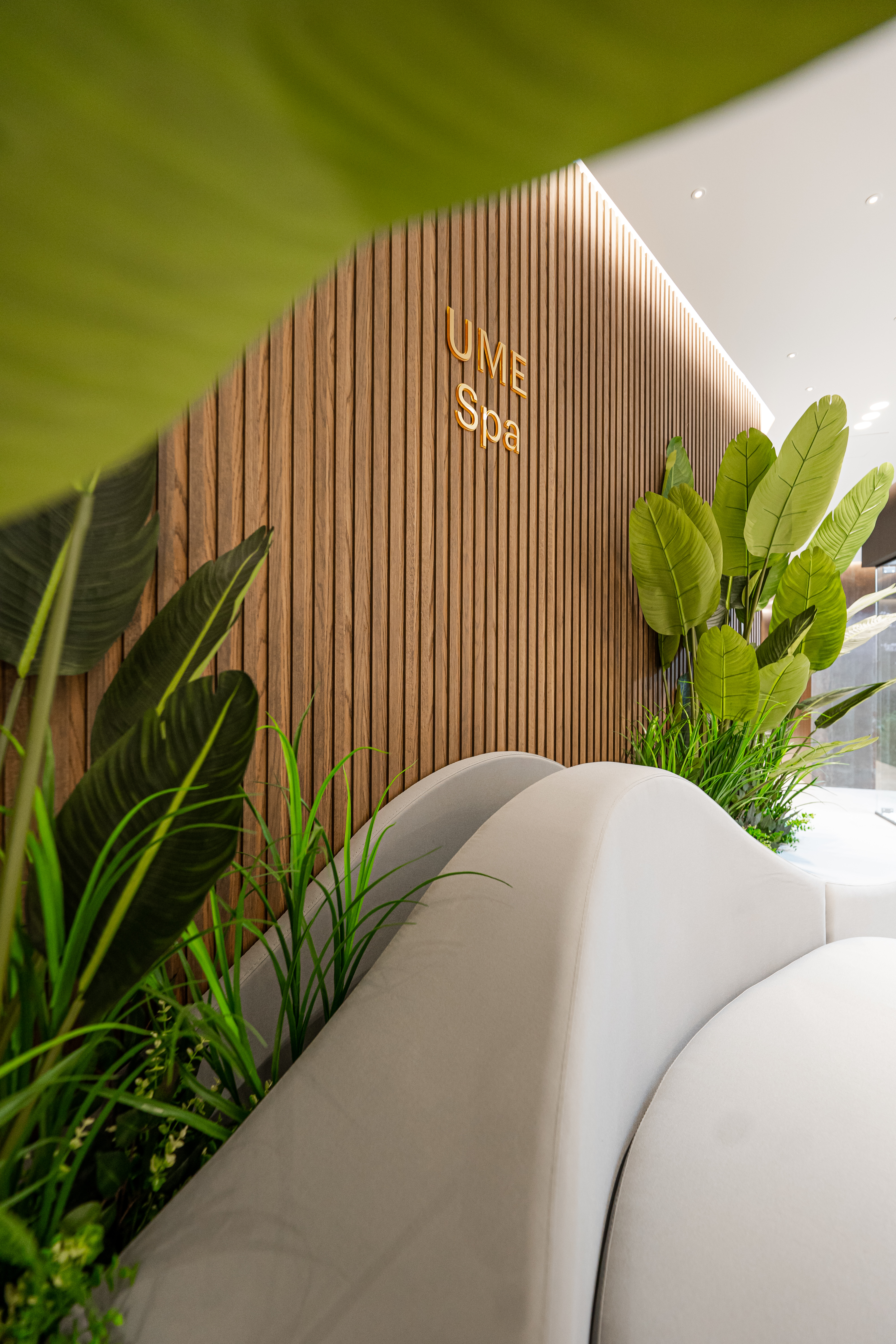 Ume Spa lobby with wooden slatted wall, vibrant green plants, and curved seating.